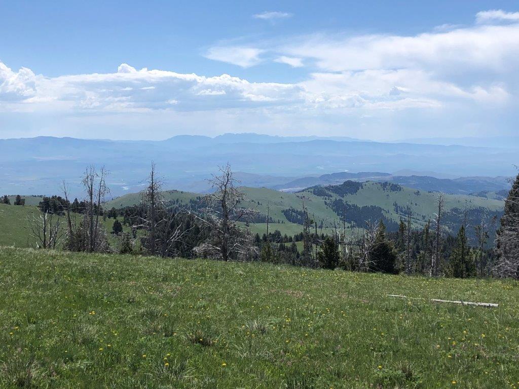 Tbd Indian Creek Road Property Photo 3
