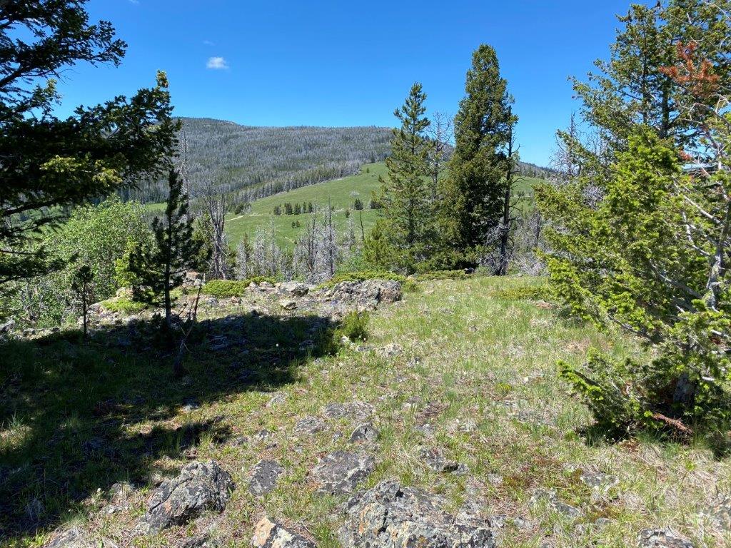 Tbd Indian Creek Road Property Photo 21