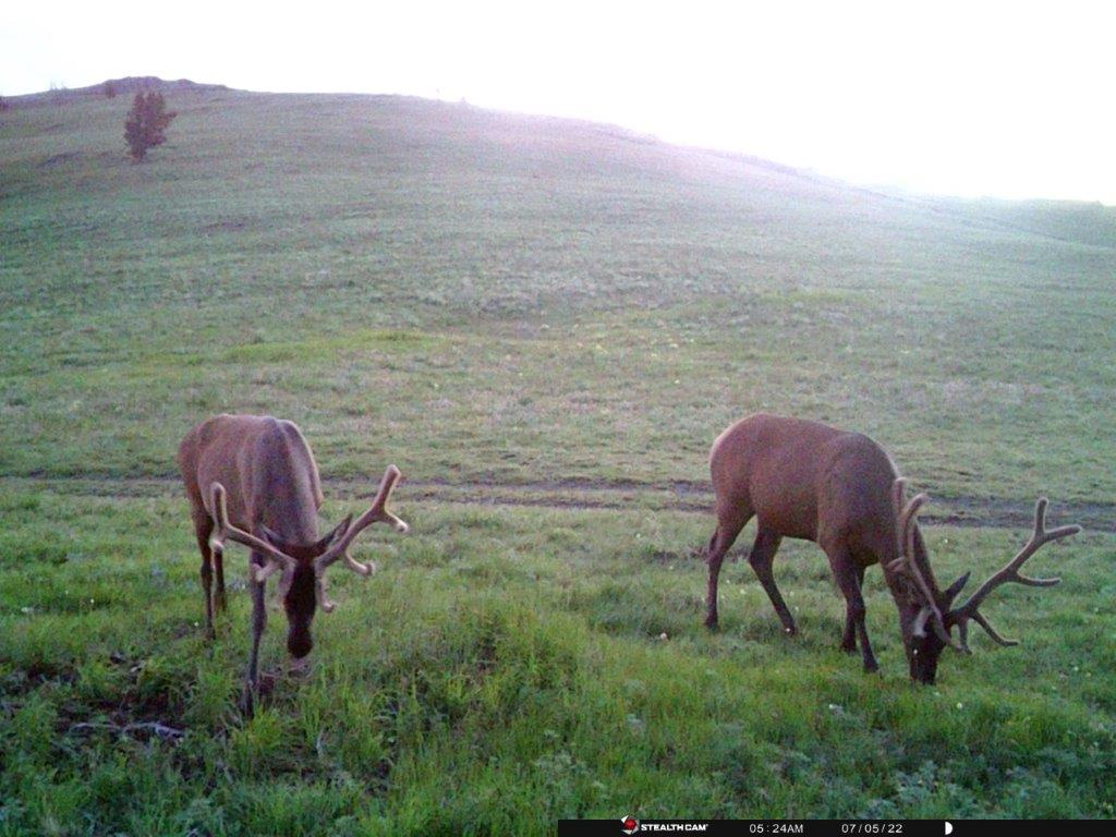Tbd Indian Creek Road Property Photo 23