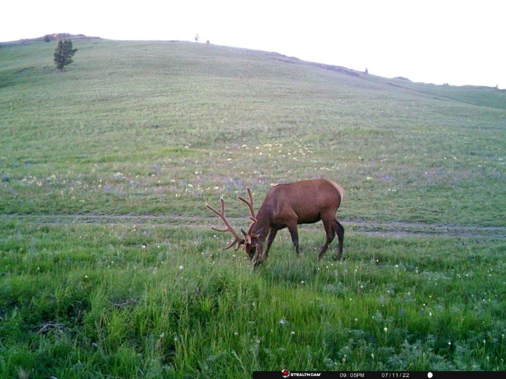 Tbd Indian Creek Road Property Photo 26