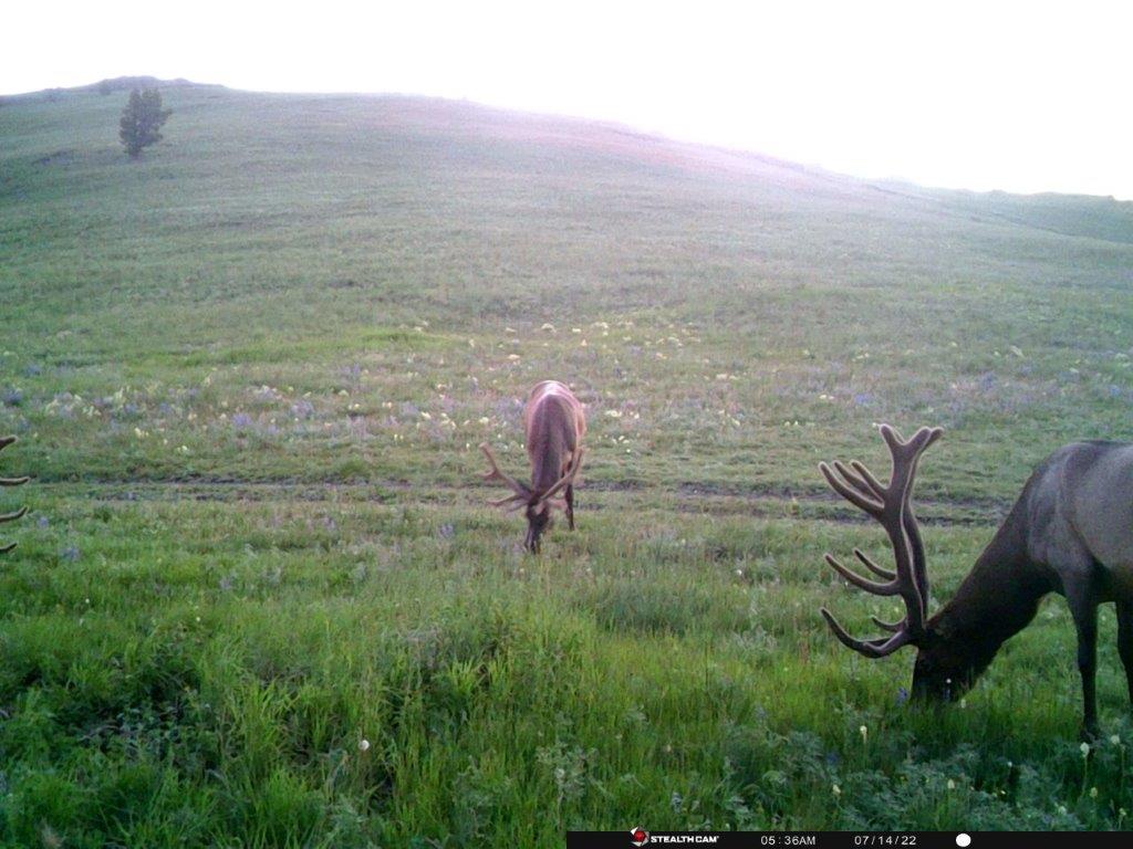 Tbd Indian Creek Road Property Photo 28