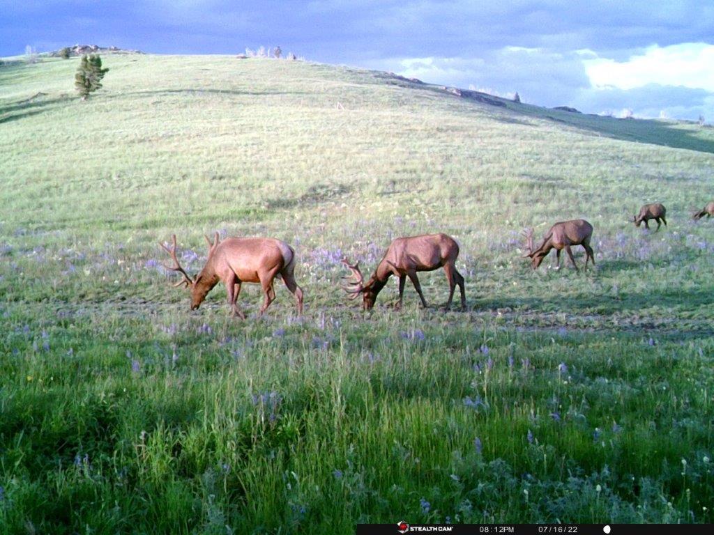 Tbd Indian Creek Road Property Photo 29