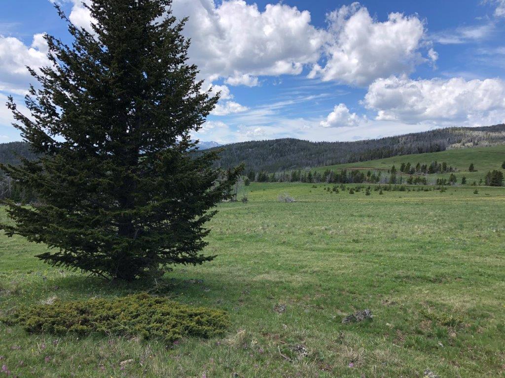 Tbd Indian Creek Road Property Photo 48