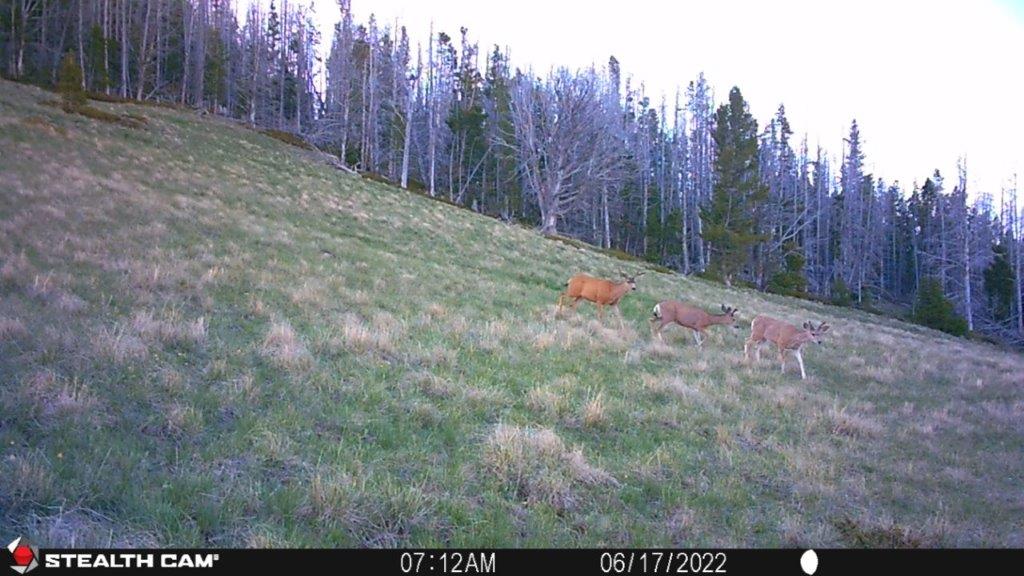 Tbd Indian Creek Road Property Photo 50