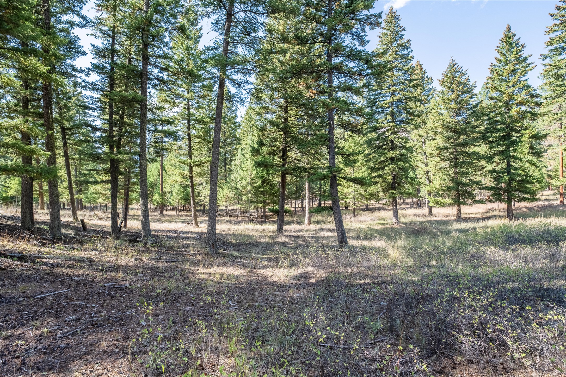 Lot 17 Caddisfly Court Property Photo 2