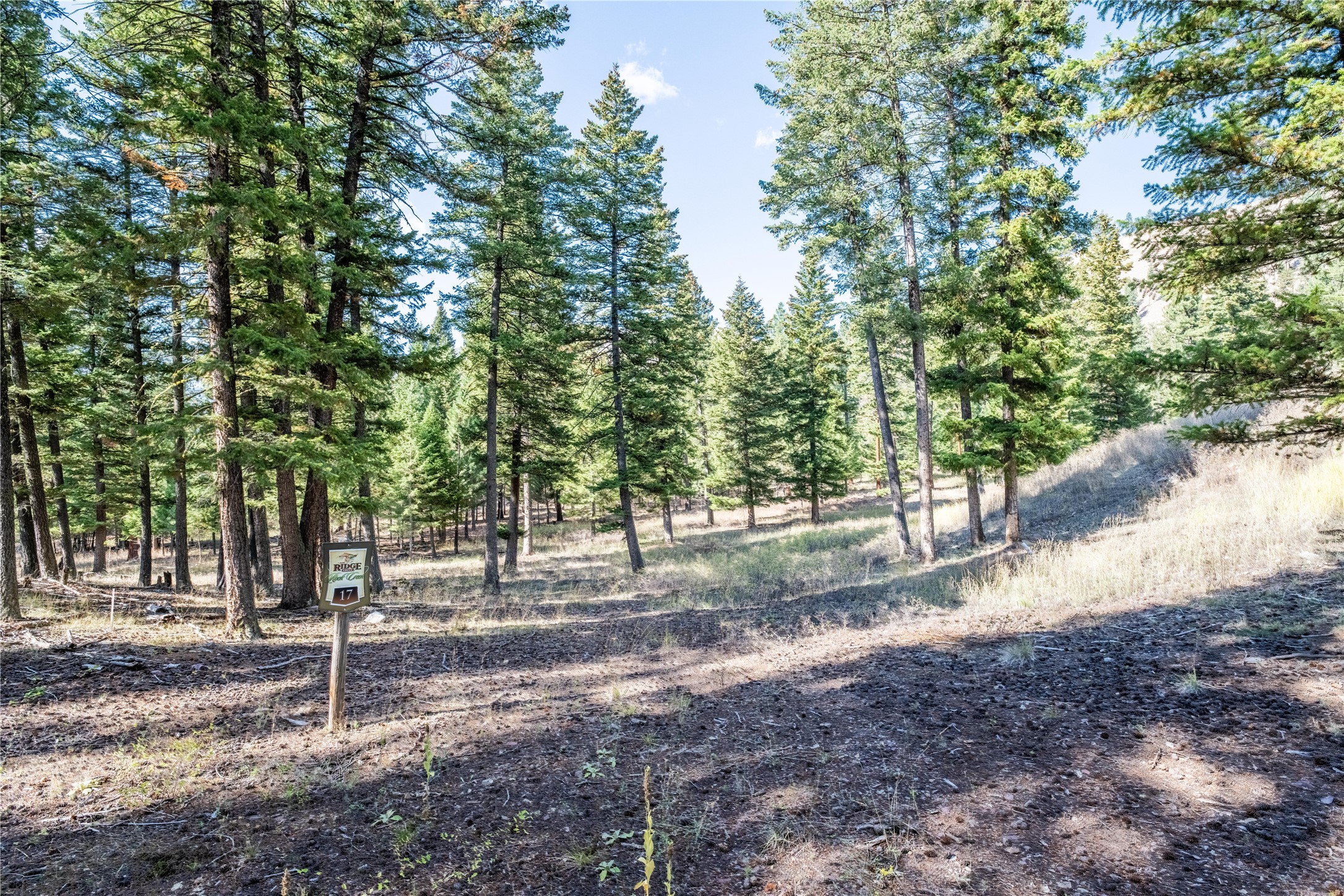 Lot 17 Caddisfly Court Property Photo 3