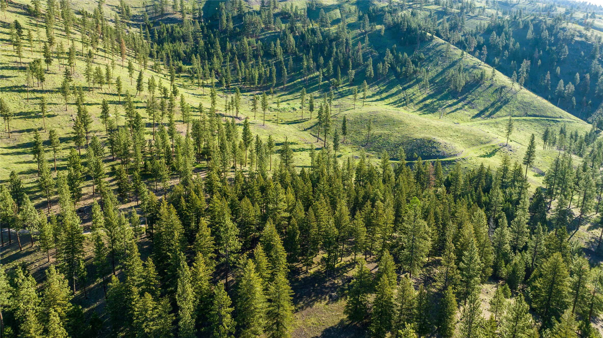 Lot 17 Caddisfly Court Property Photo 9