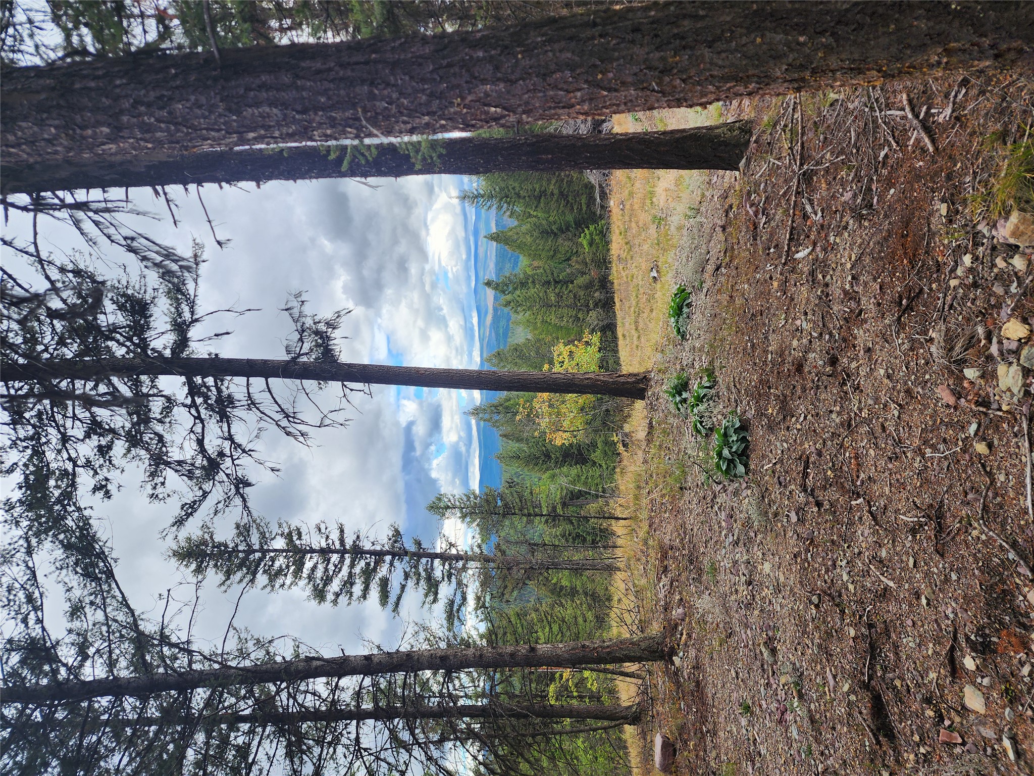 408 Montana View Drive Property Photo 1