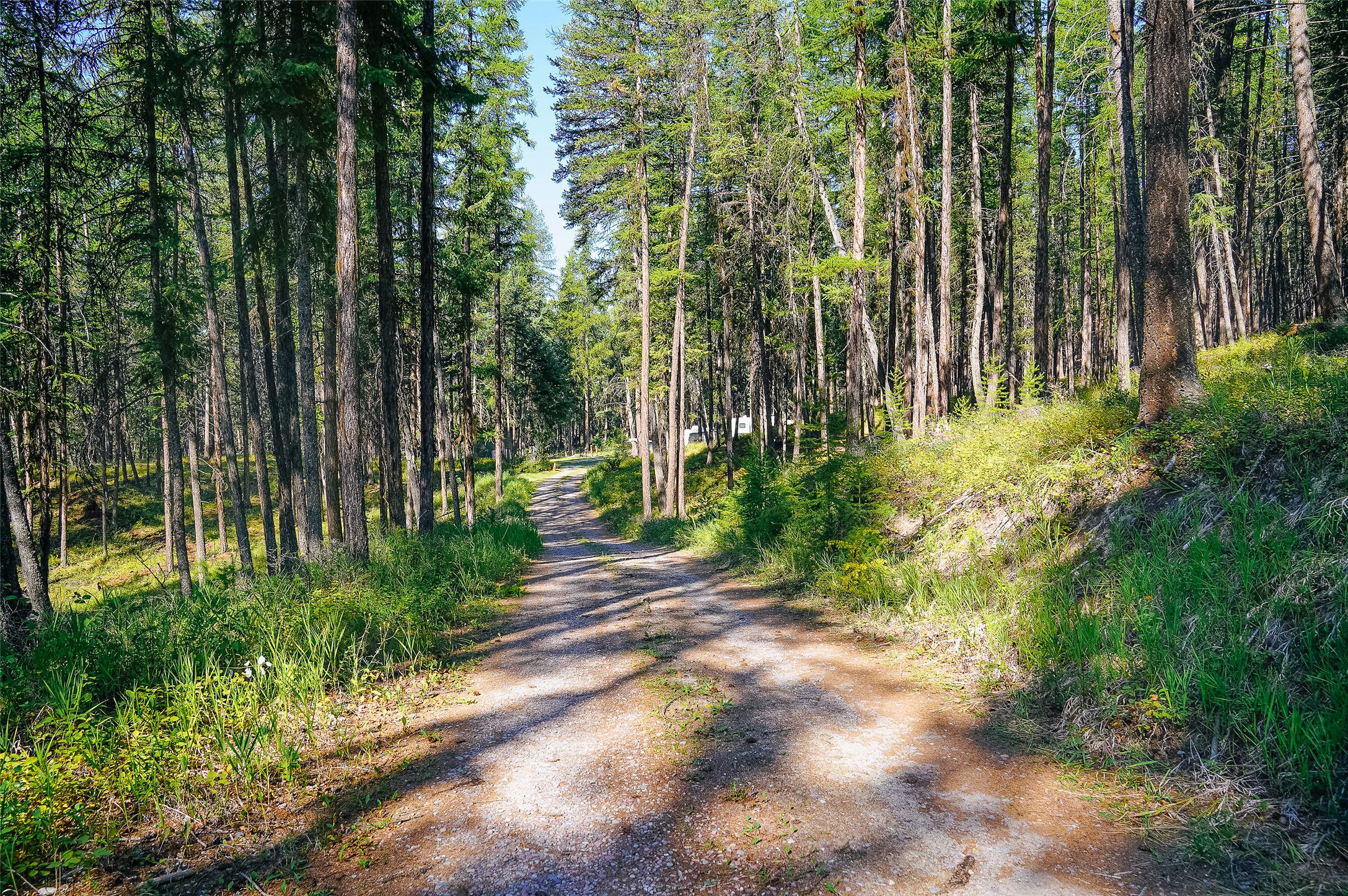 176 Murray Ridge Road Property Photo 1