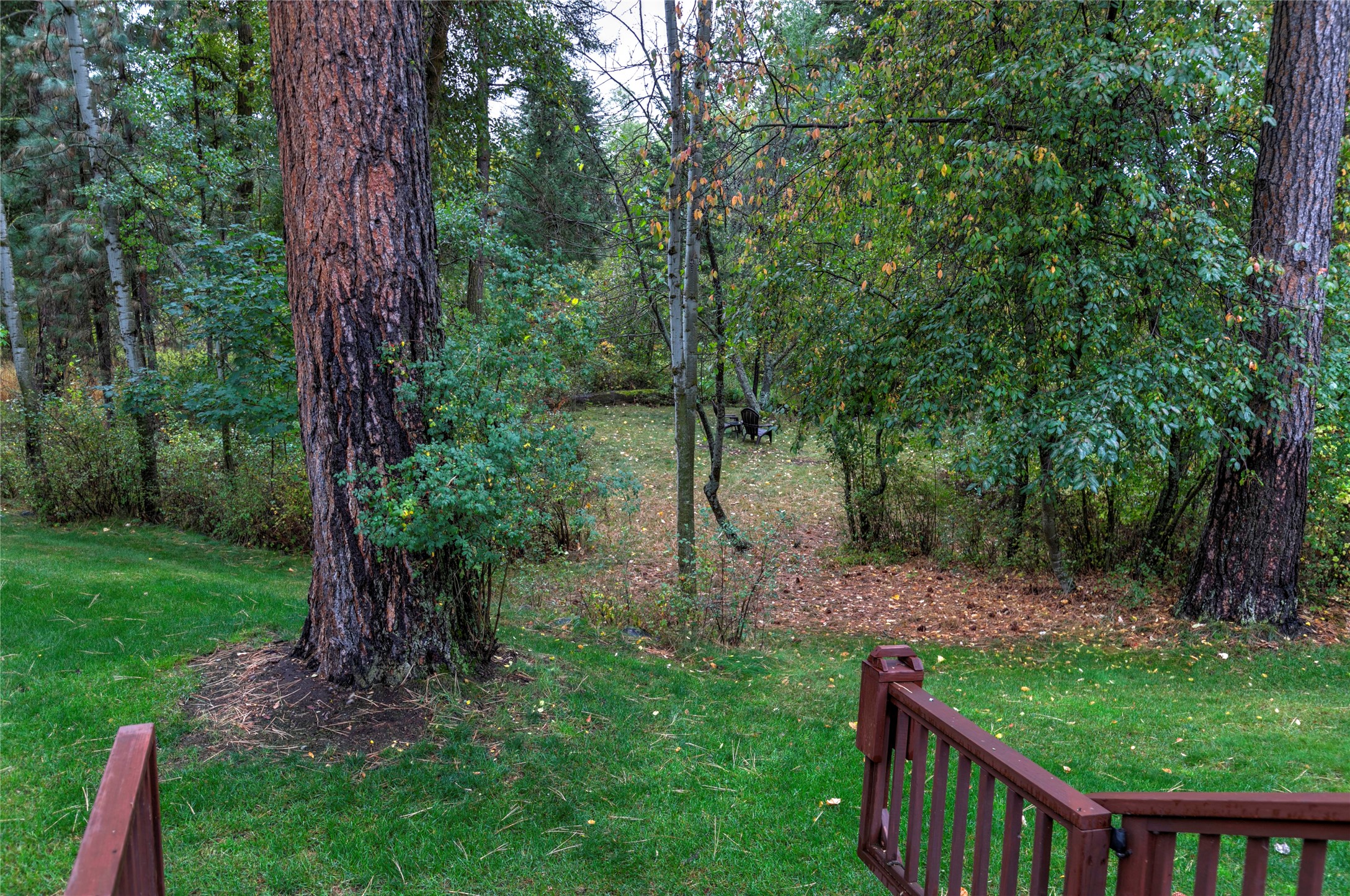 1715 Streamside Court Property Photo 13