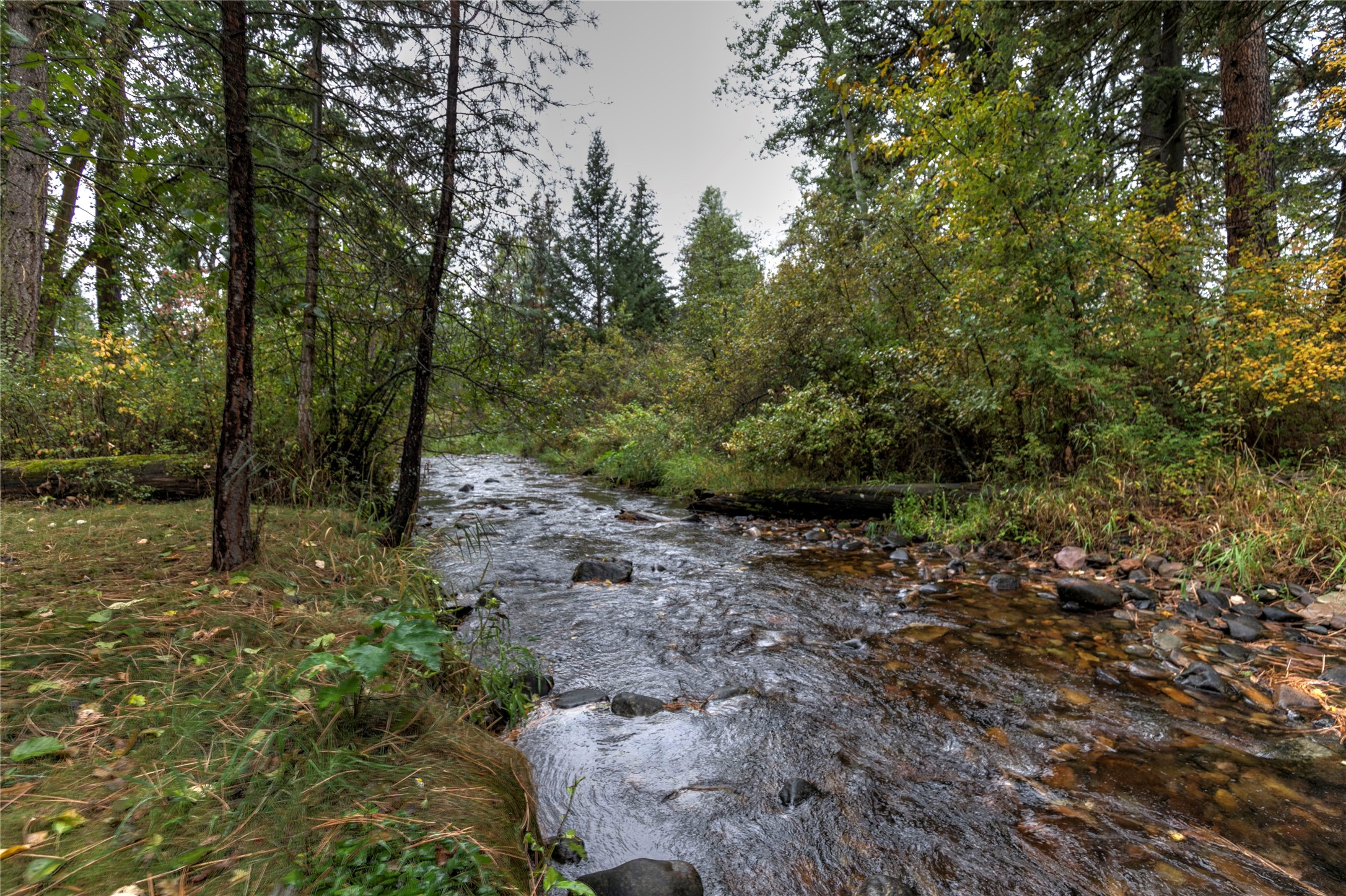 1715 Streamside Court Property Photo 15