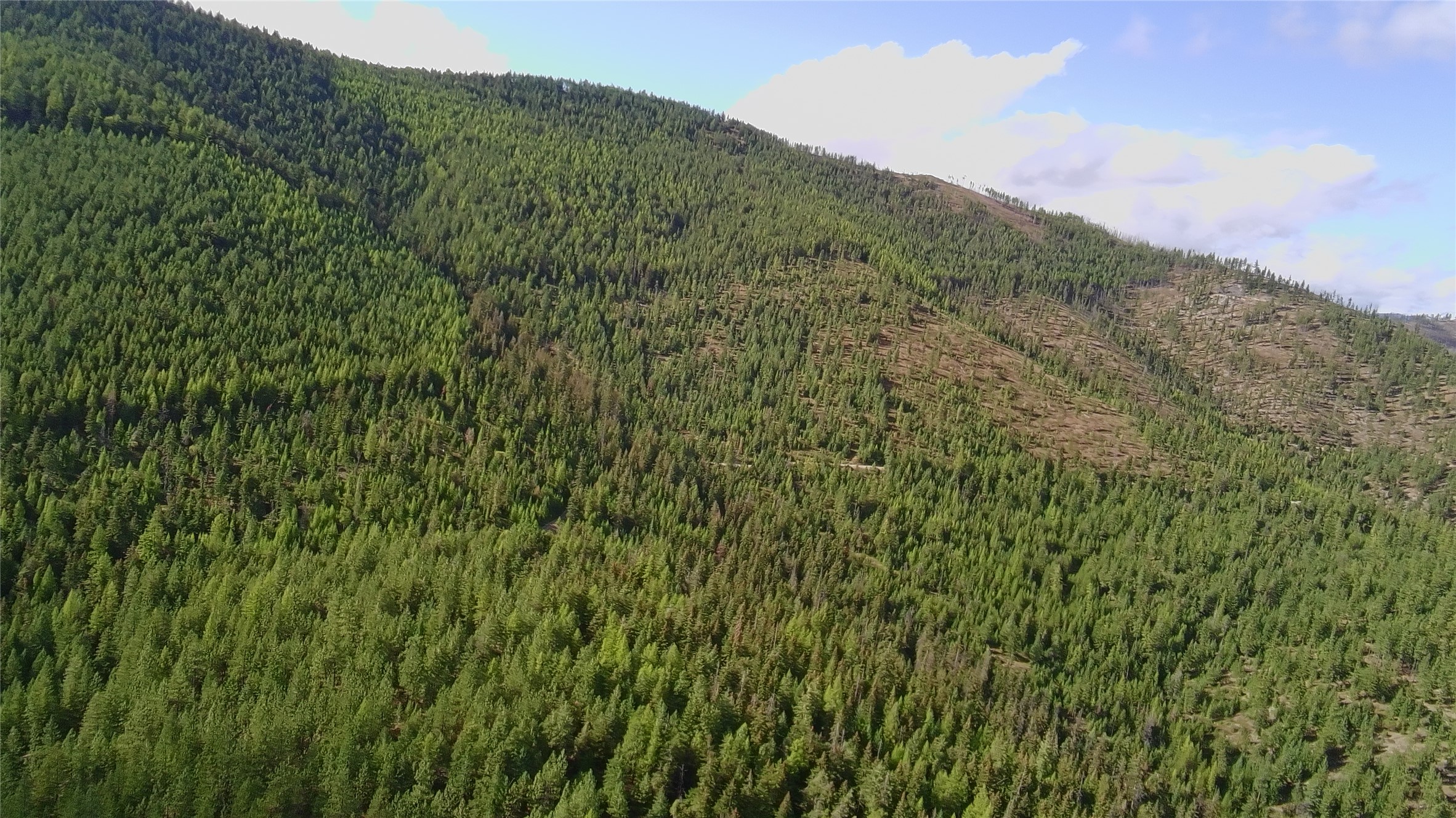 Nhn W Fork Combest Creek Road Property Photo 2