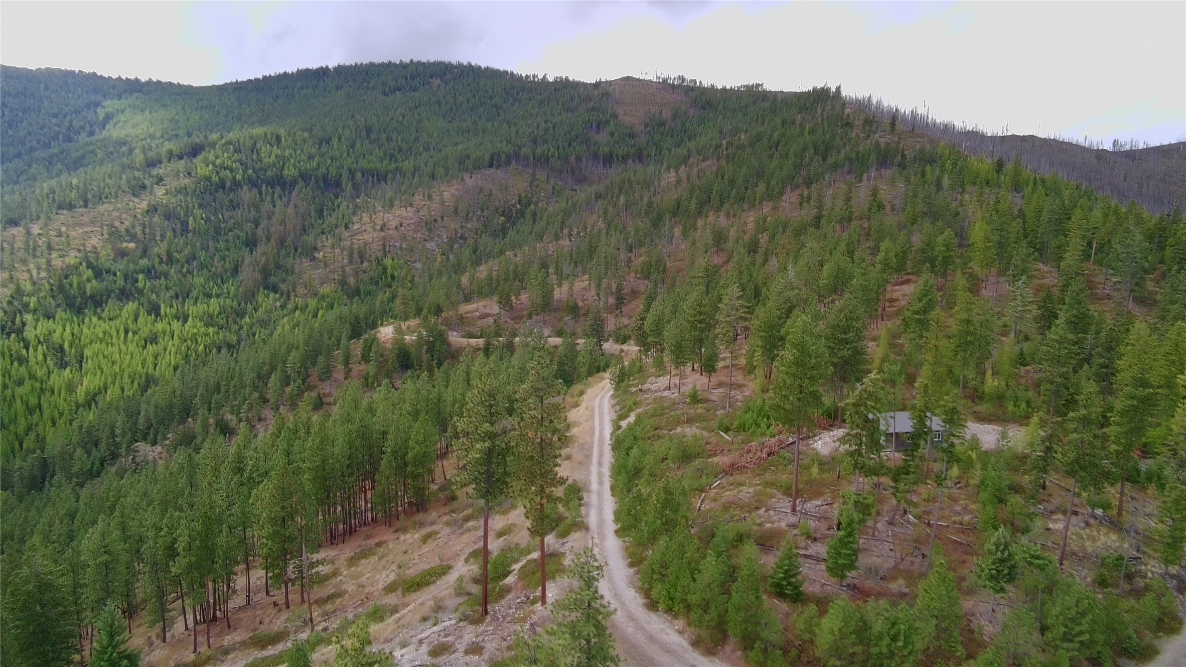 Nhn W Fork Combest Creek Road Property Photo 6