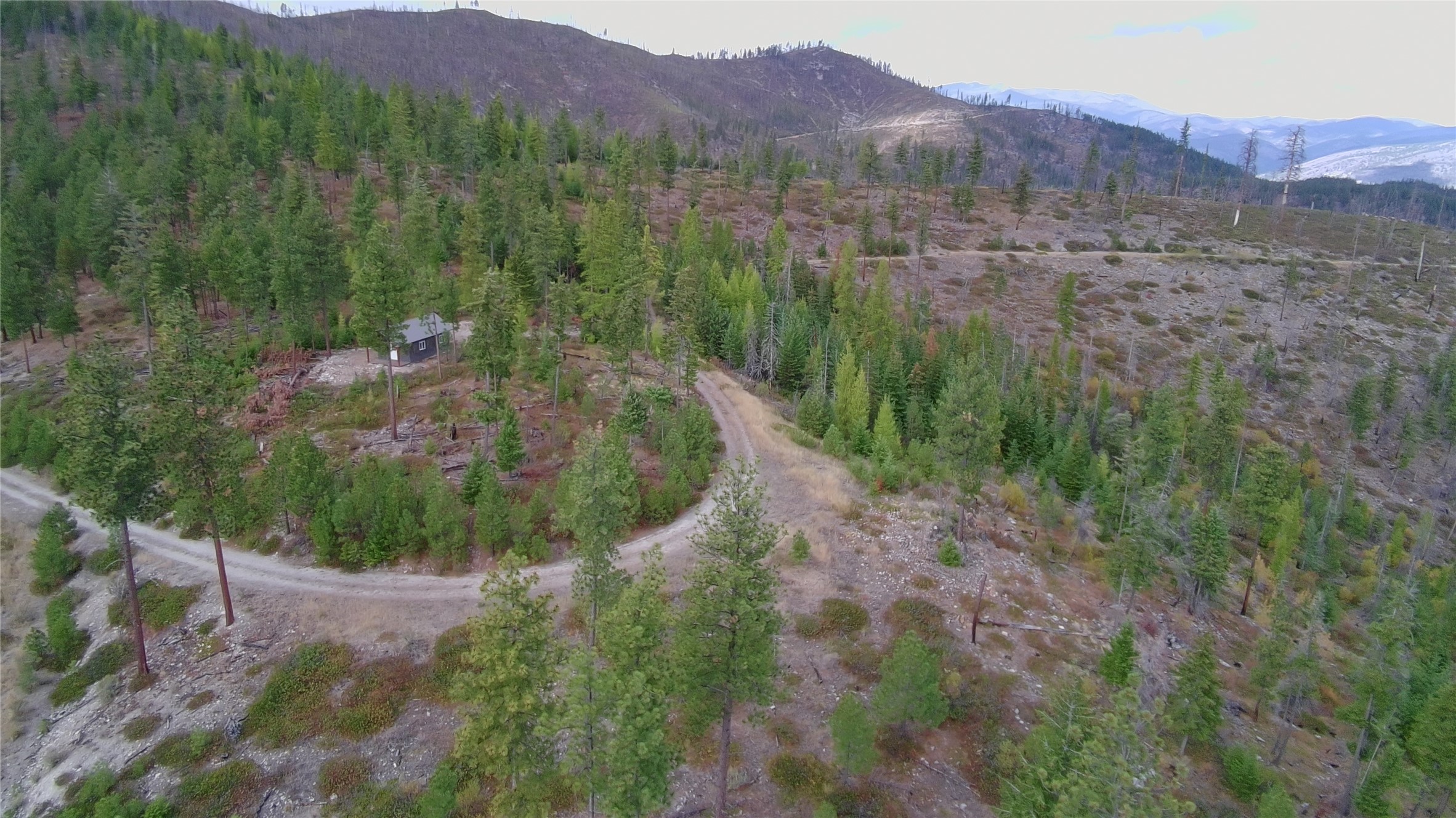 Nhn W Fork Combest Creek Road Property Photo 8