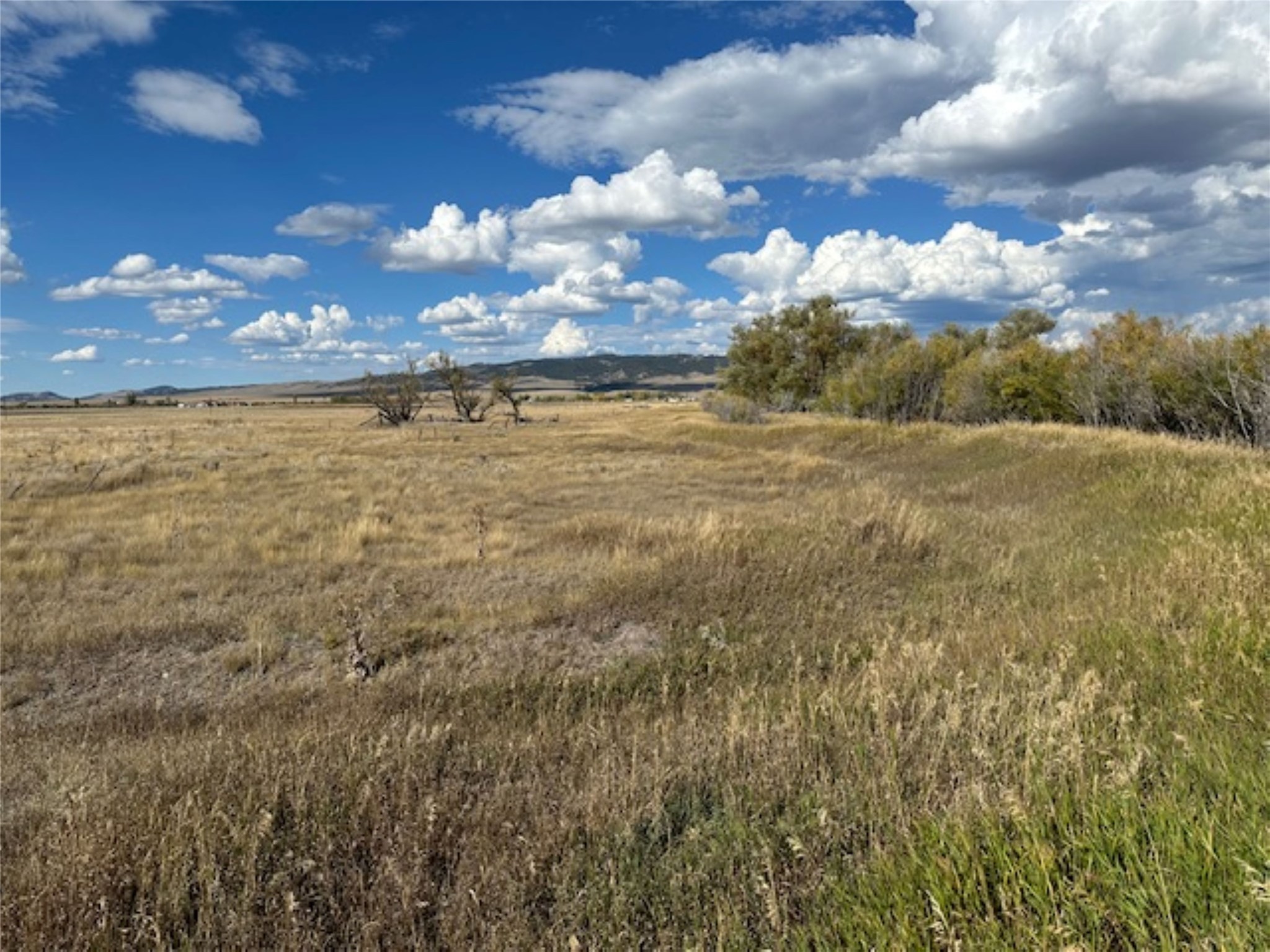 Nhn Luppold Road Property Photo 11