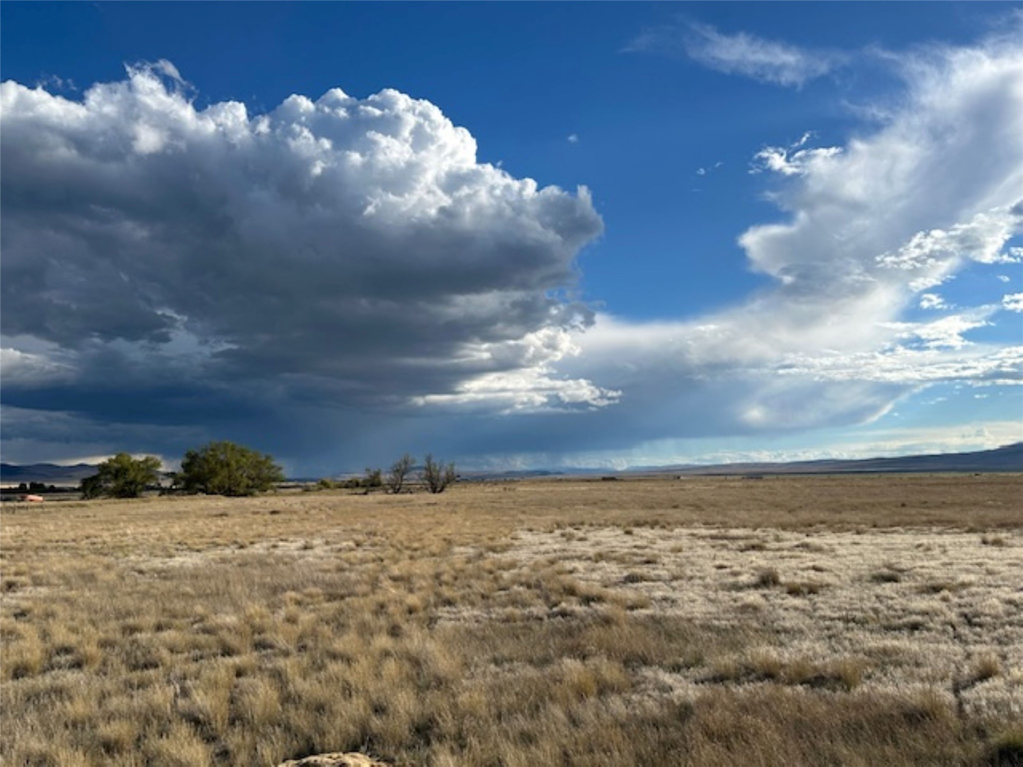 Nhn Luppold Road Property Photo 25