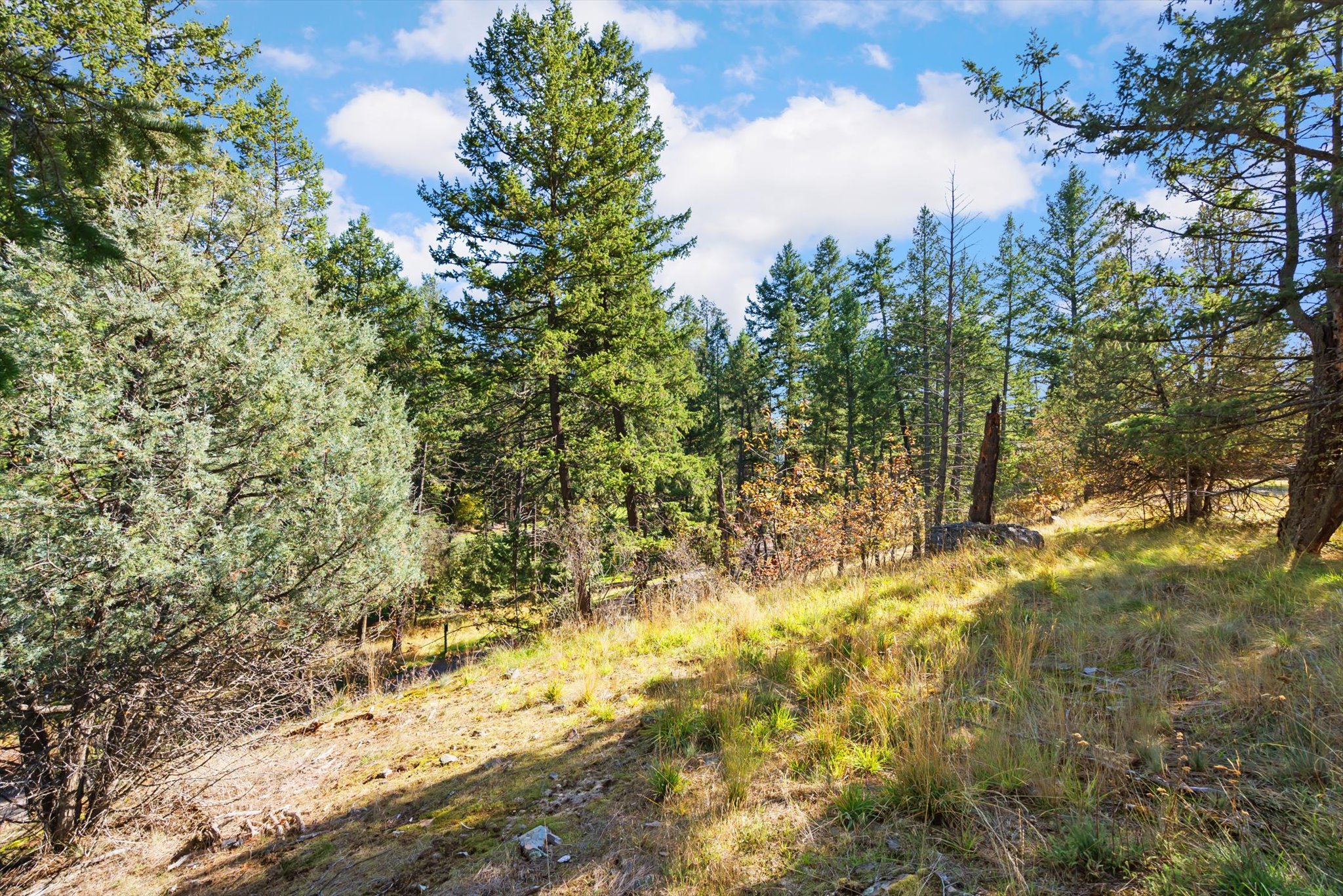 147 Bjork Drive Property Photo 10