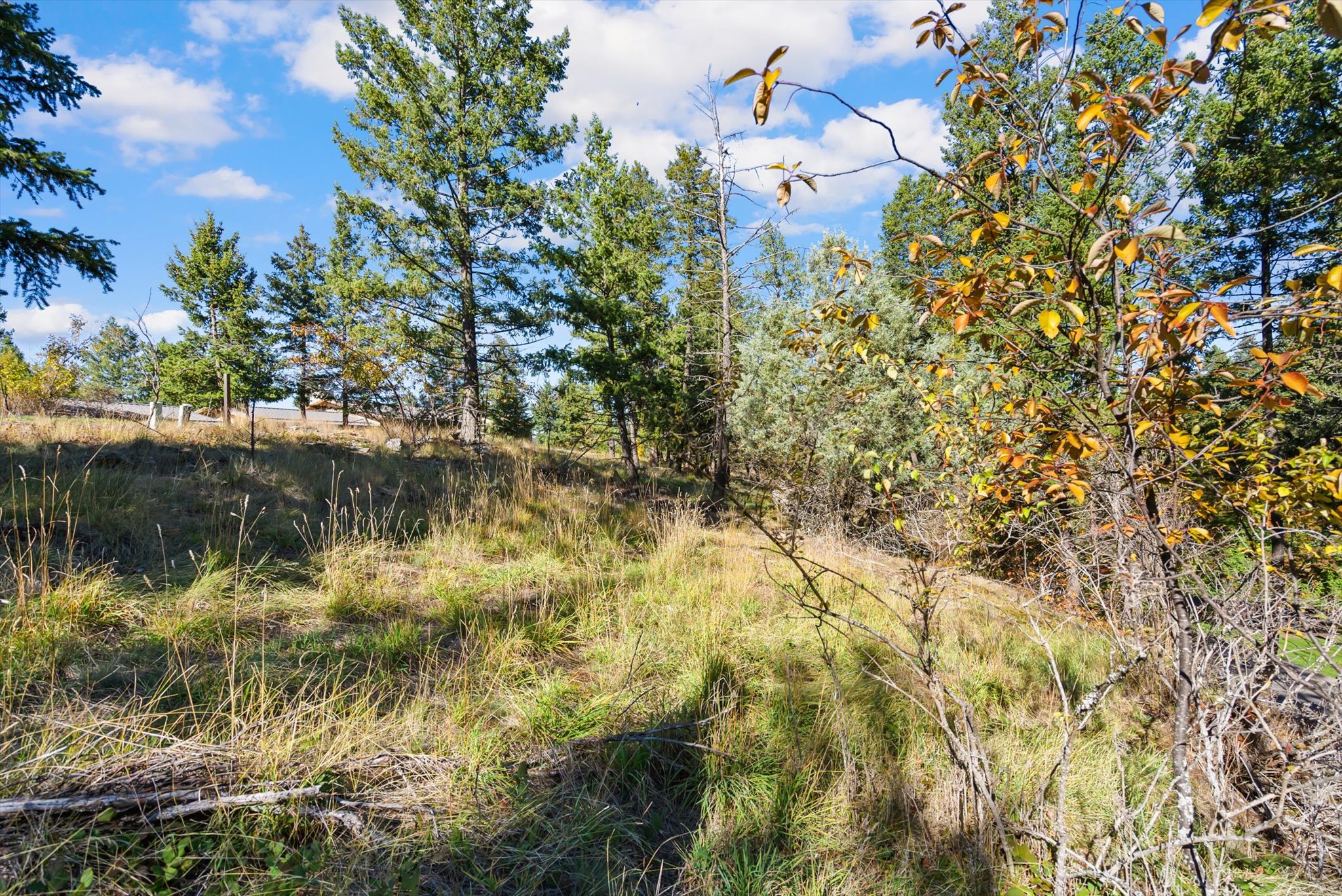147 Bjork Drive Property Photo 11