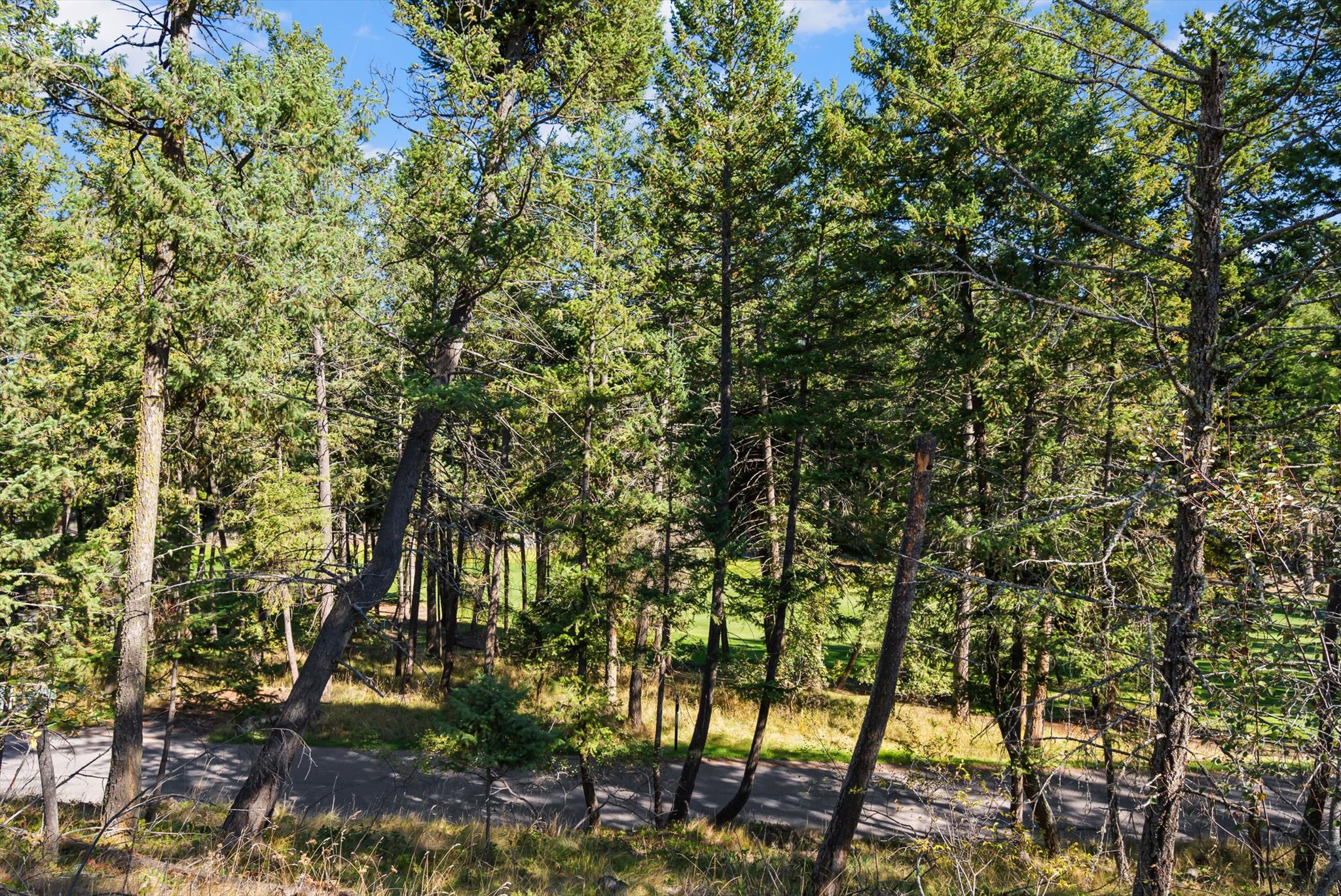 147 Bjork Drive Property Photo 13