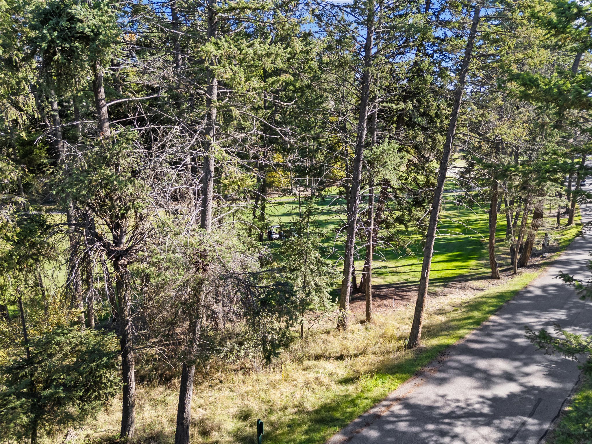 147 Bjork Drive Property Photo 14