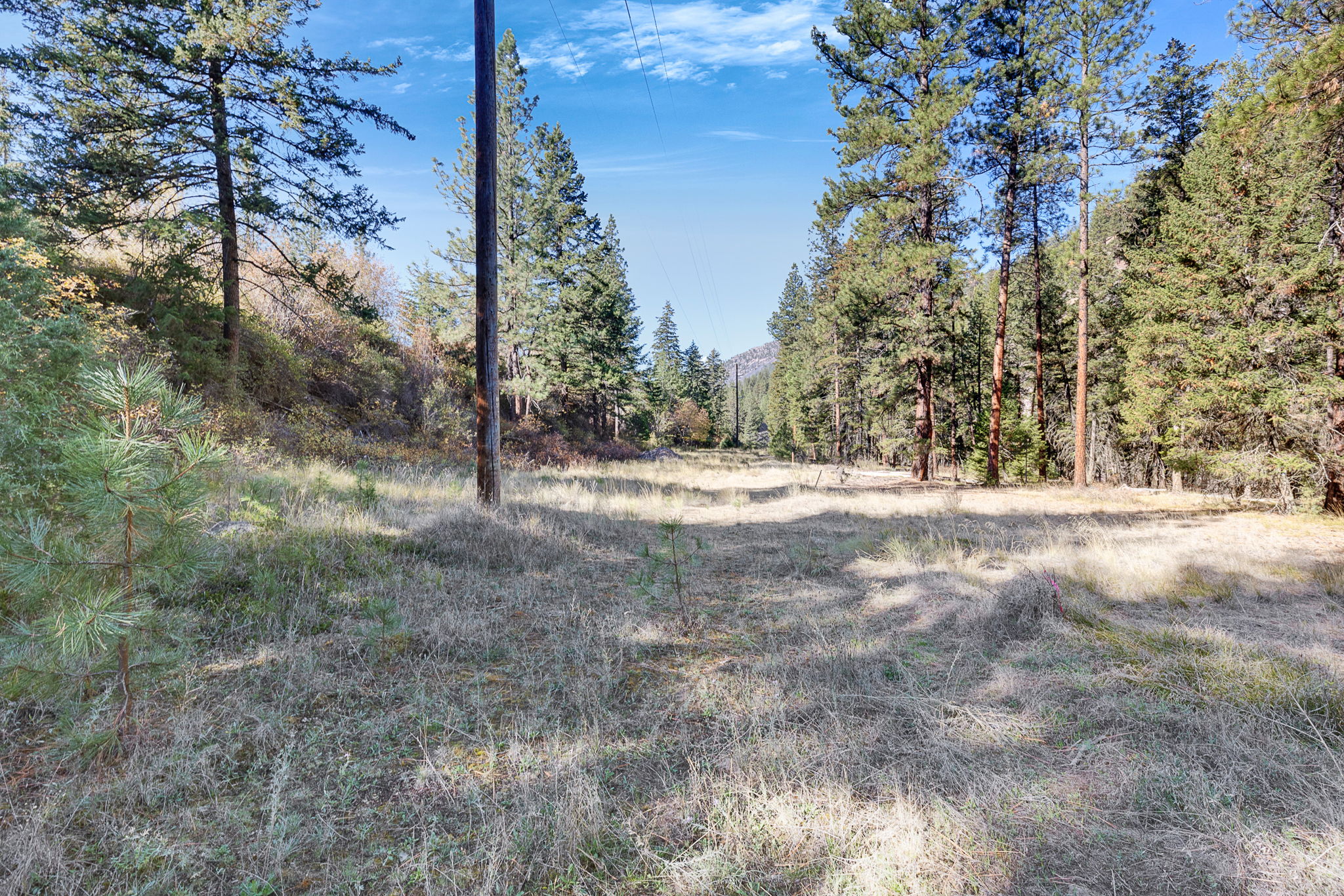 4016 Old Hwy 10 W Property Photo 43