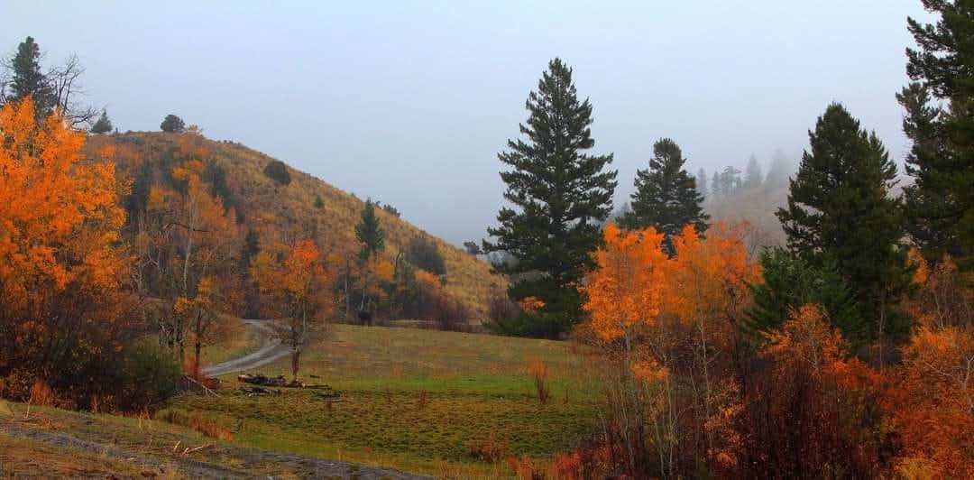 187 Edwards Gulch Road Property Photo 32