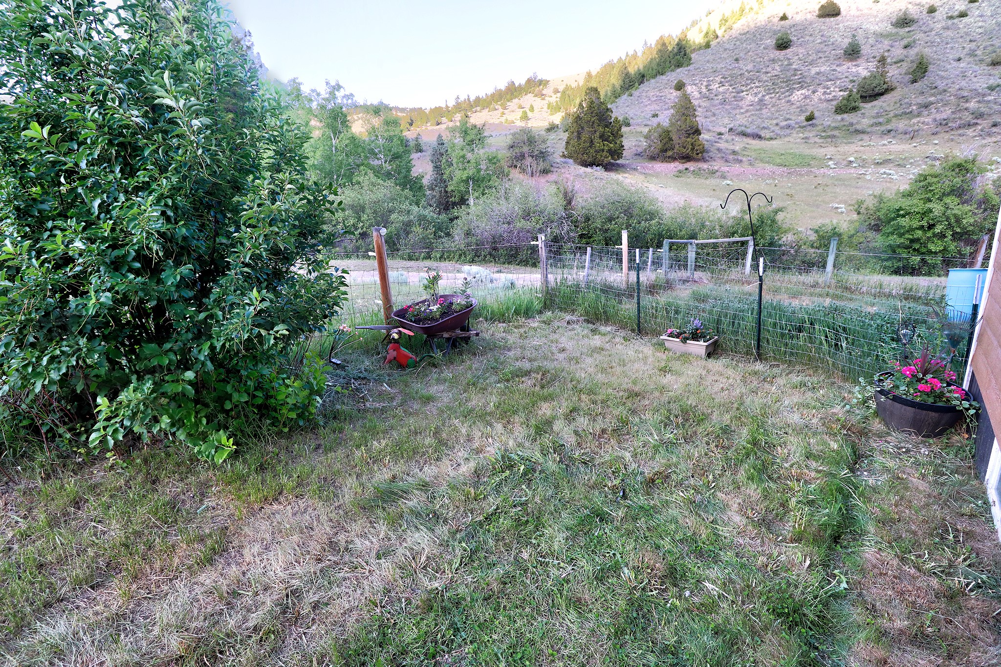 187 Edwards Gulch Road Property Photo 33