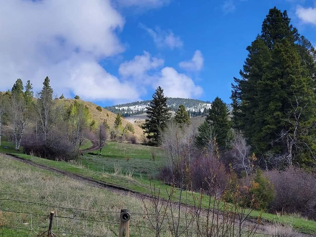 187 Edwards Gulch Road Property Photo 39