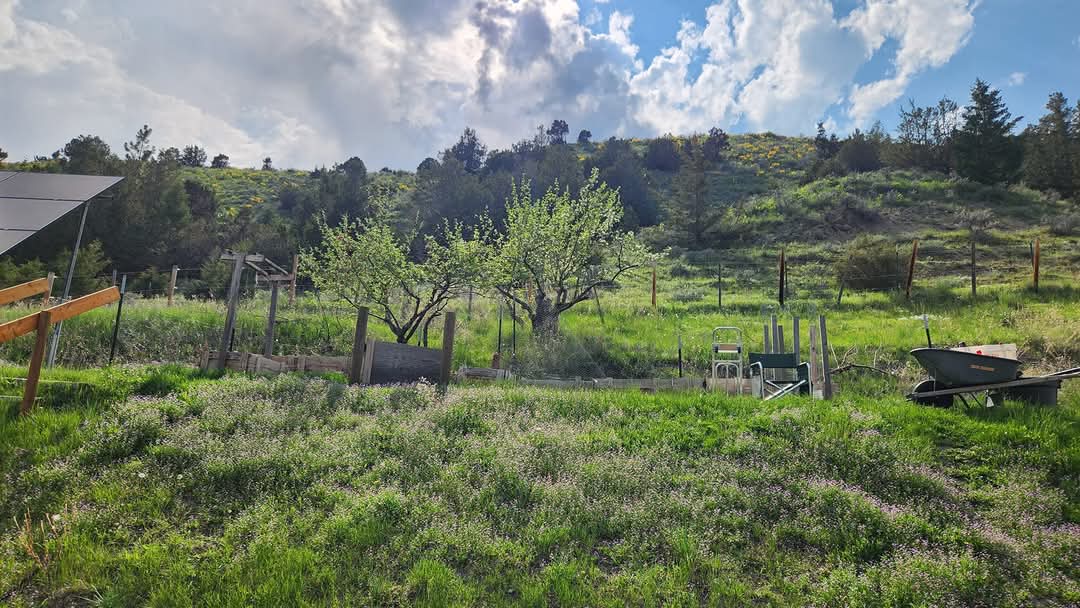 187 Edwards Gulch Road Property Photo 41