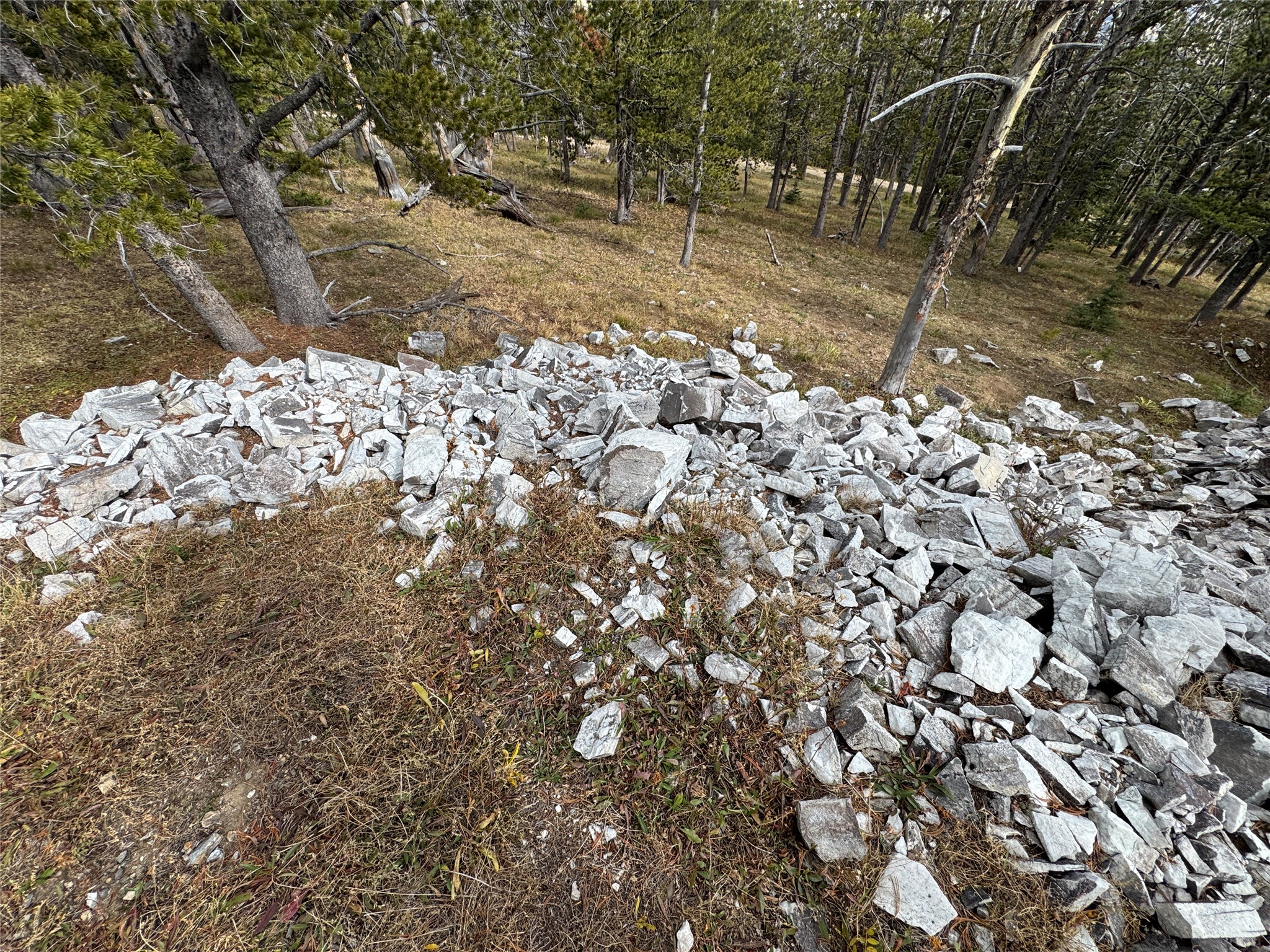 Tbd Dark Horse Mining Claim Property Photo 3
