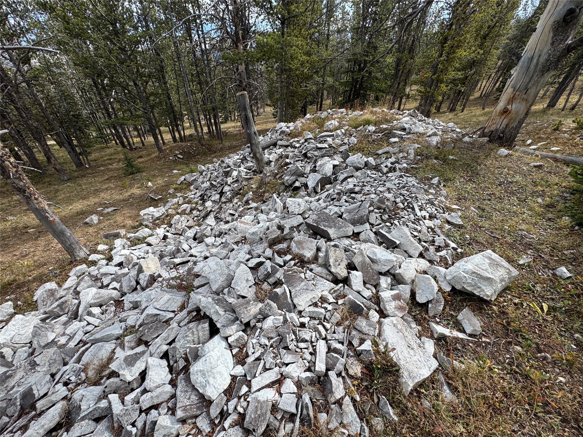 Tbd Dark Horse Mining Claim Property Photo 4