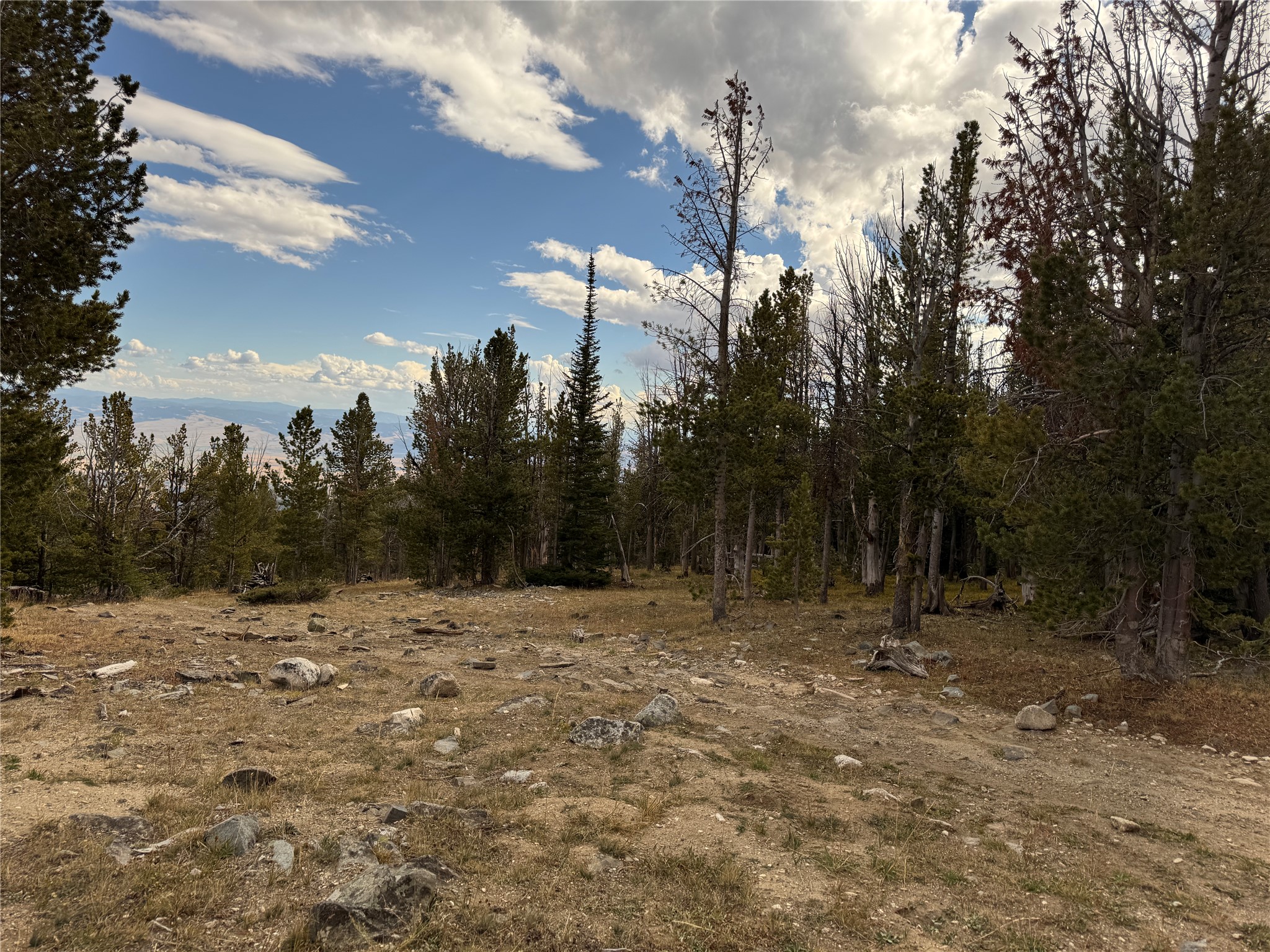 Tbd Dark Horse Mining Claim Property Photo 8