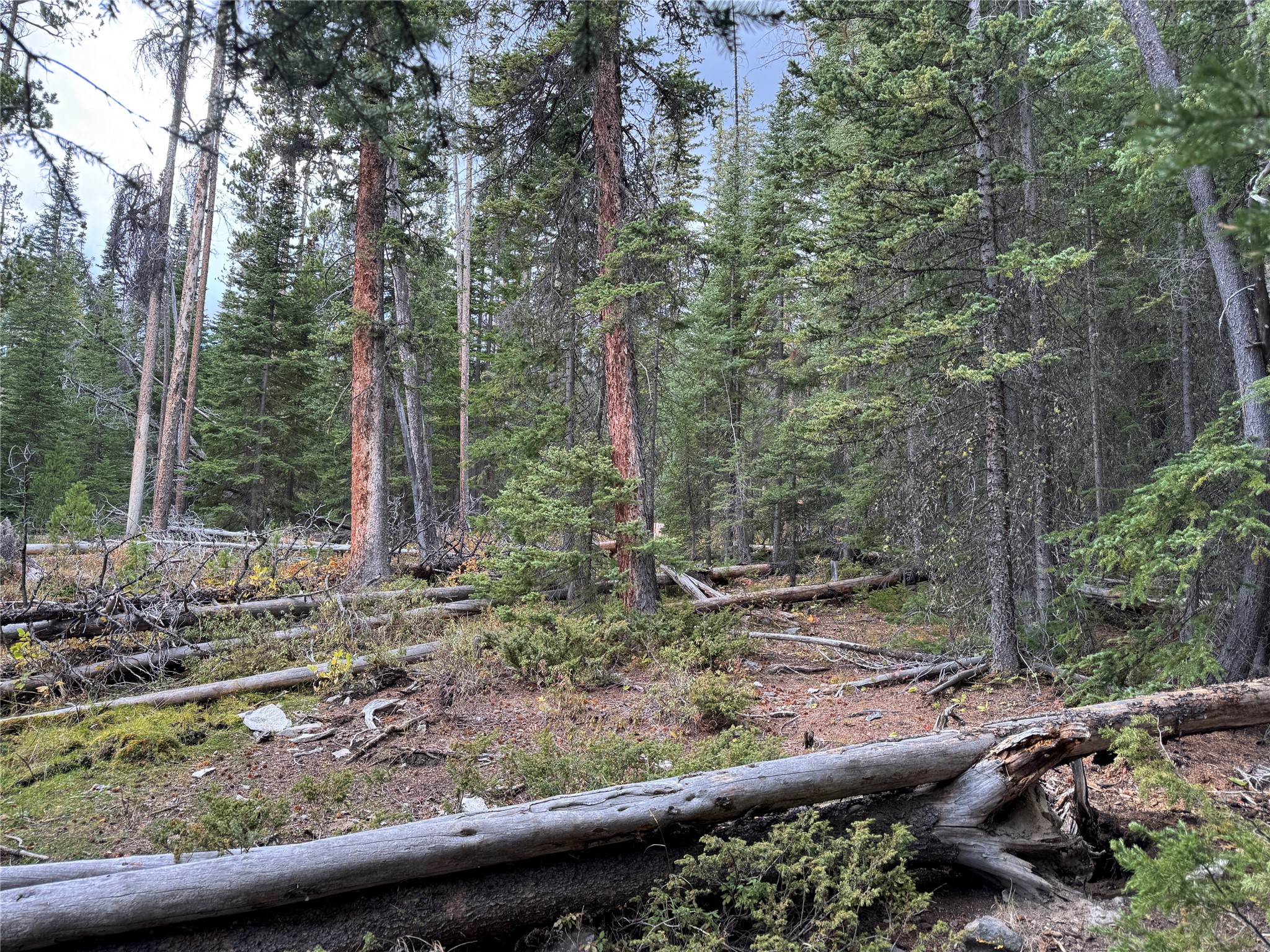 Tbd Dark Horse Mining Claim Property Photo 10