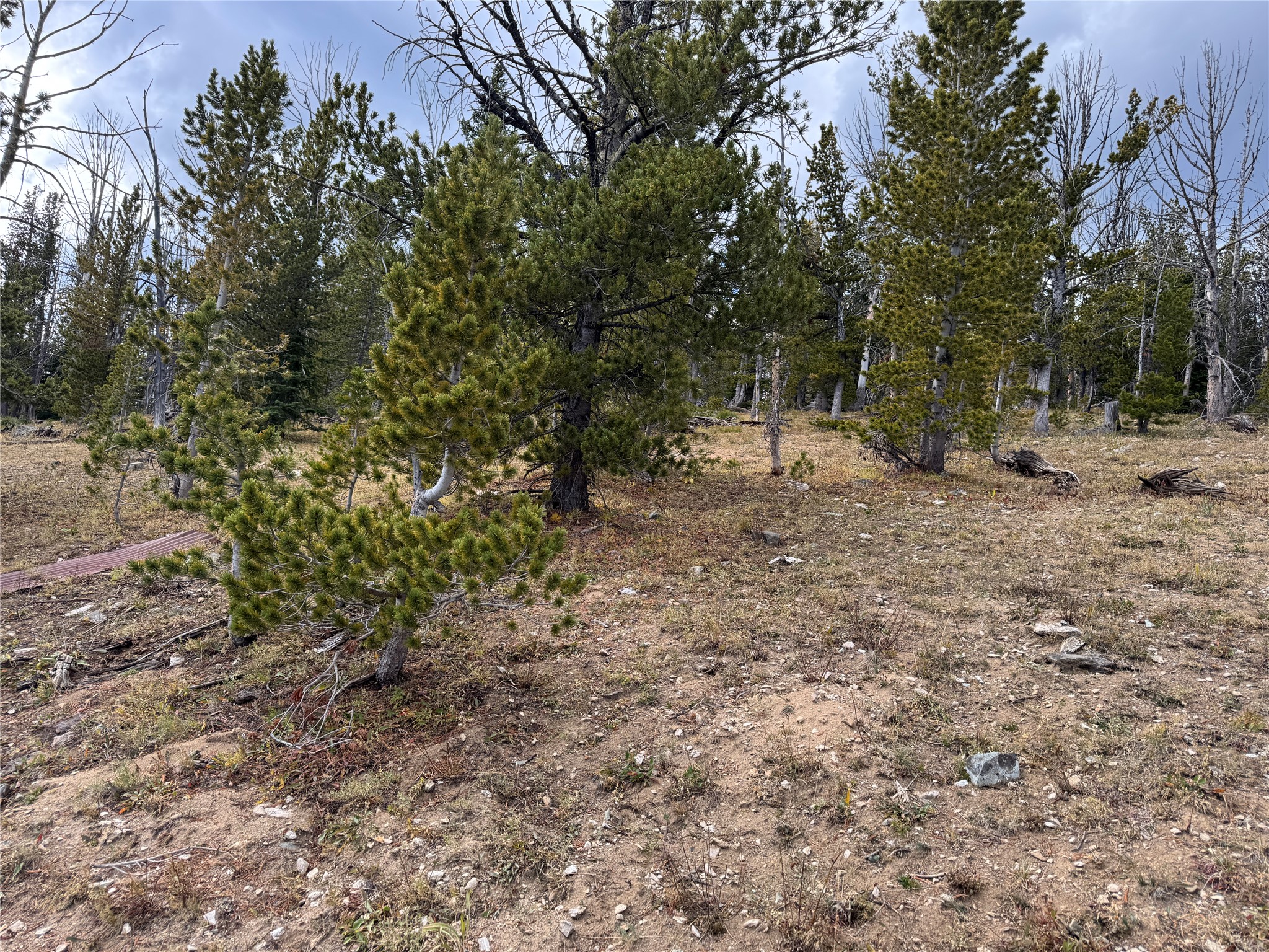 Tbd Dark Horse Mining Claim Property Photo 13