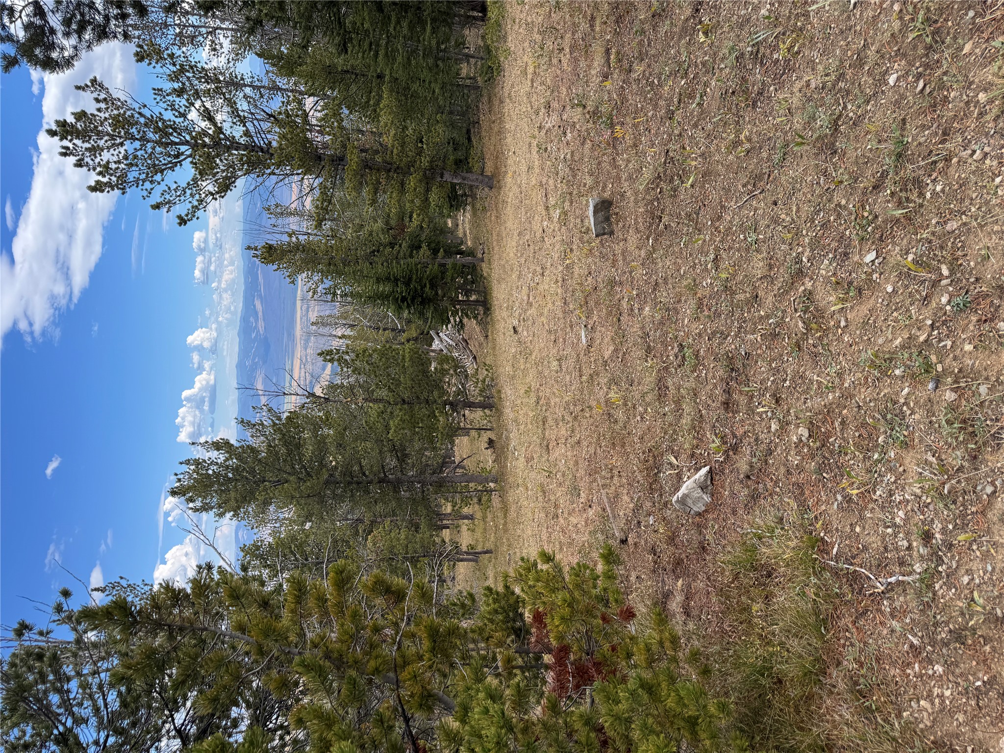 Tbd Dark Horse Mining Claim Property Photo 14