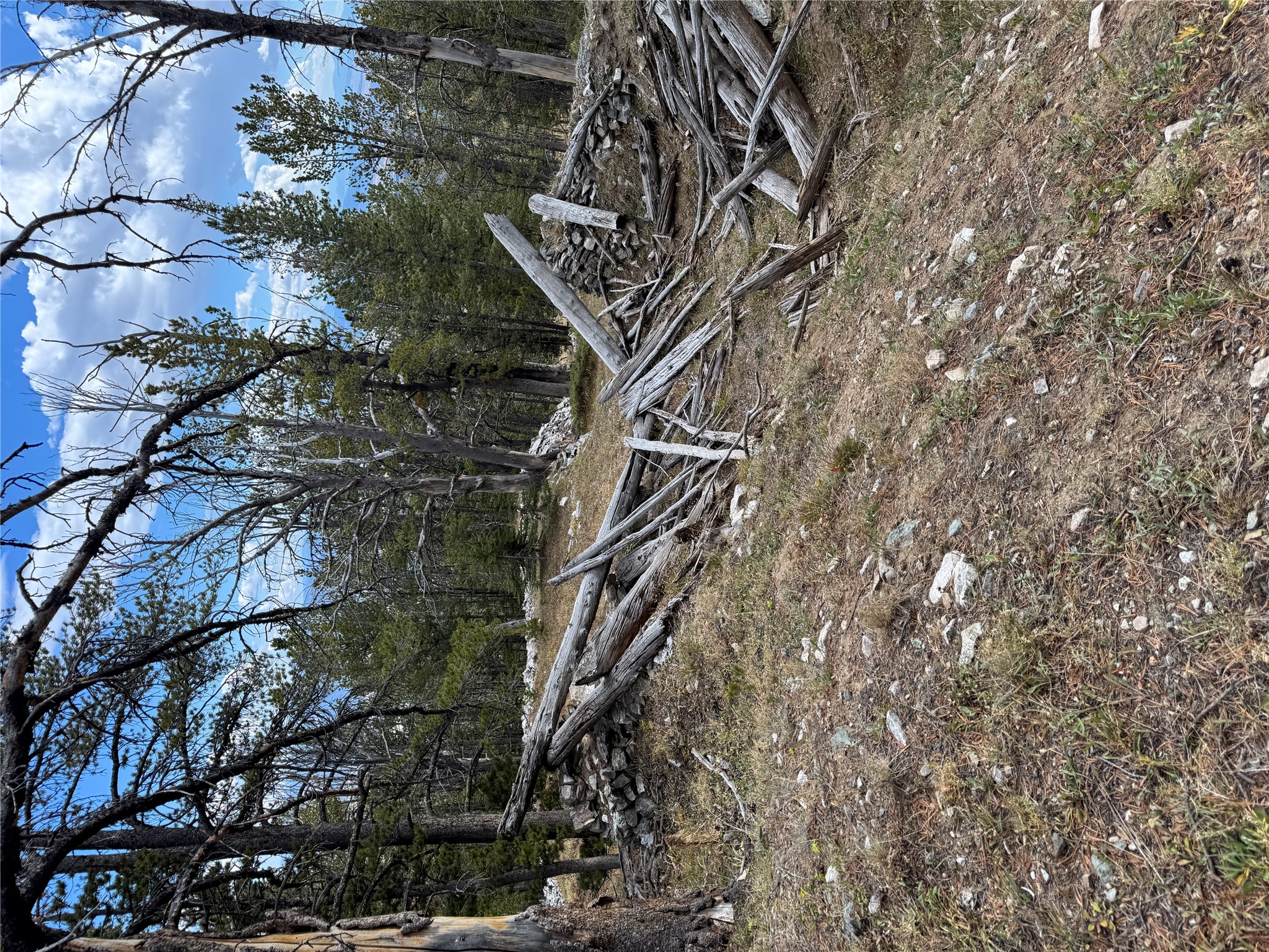 Tbd Dark Horse Mining Claim Property Photo 15