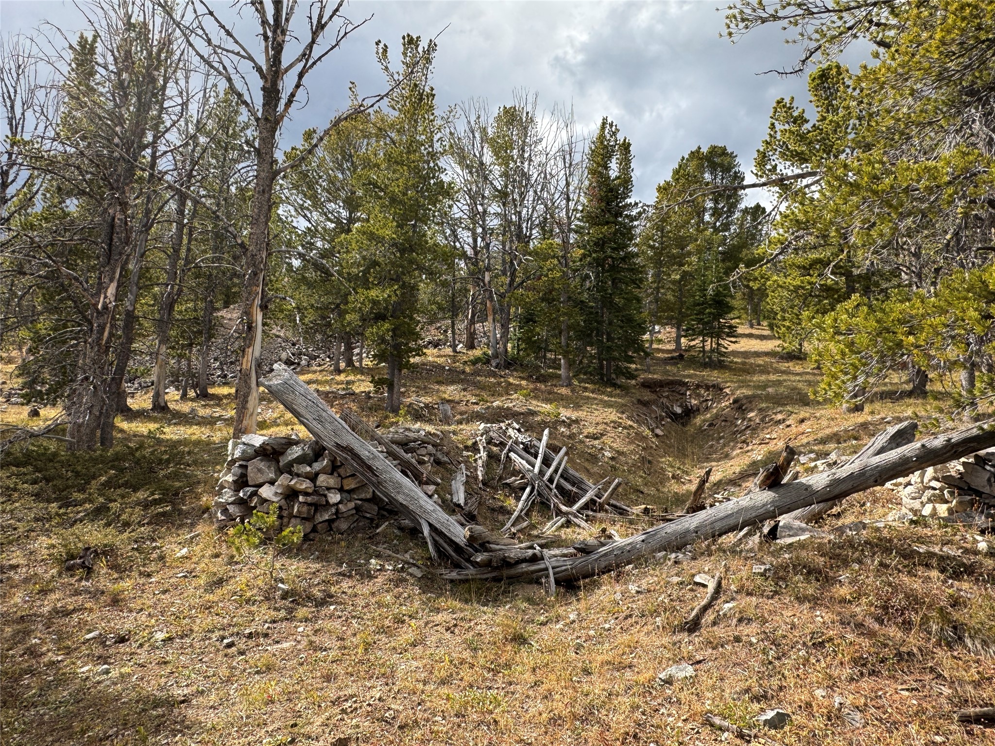 Tbd Dark Horse Mining Claim Property Photo 16