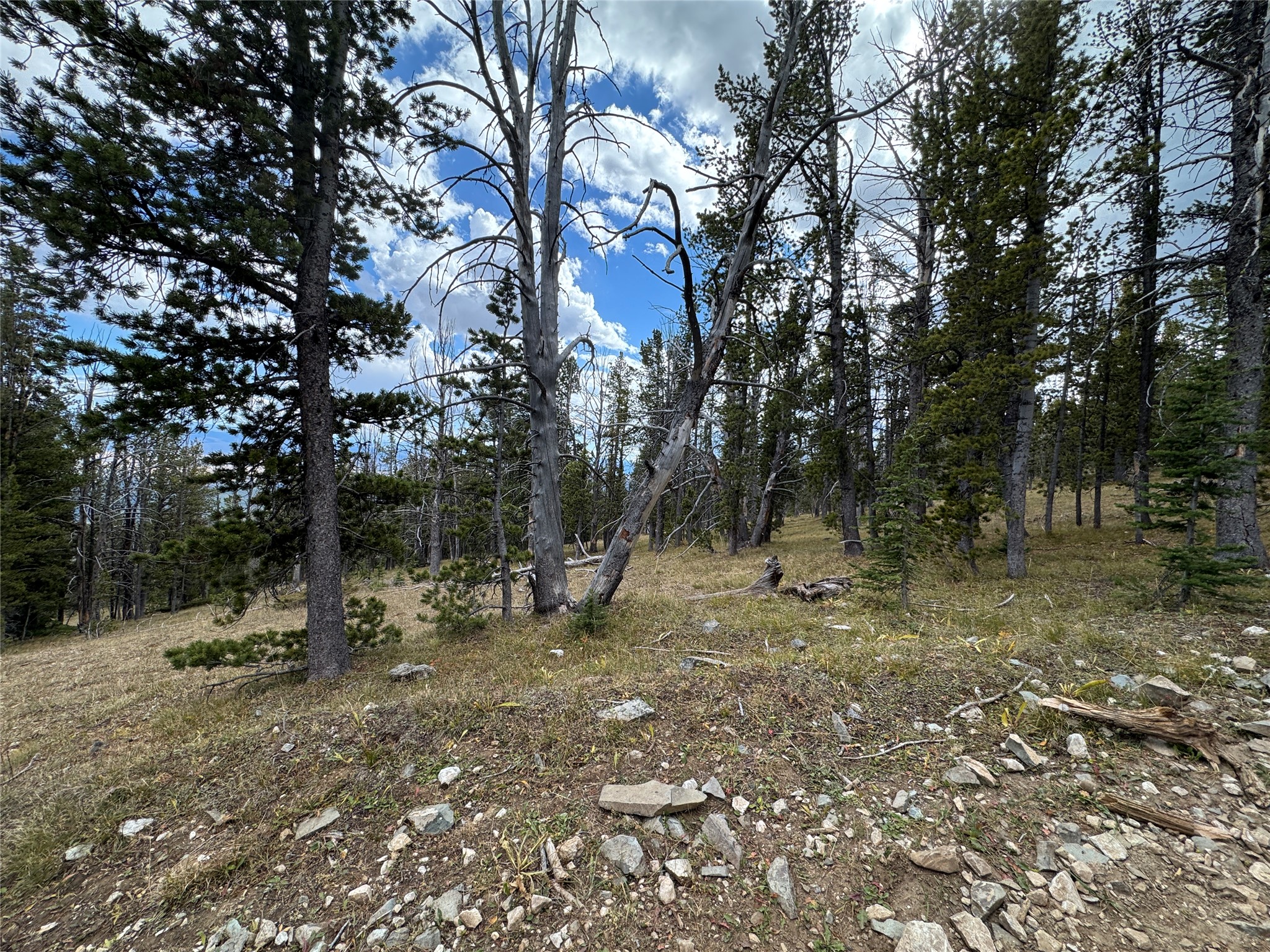 Tbd Dark Horse Mining Claim Property Photo 18