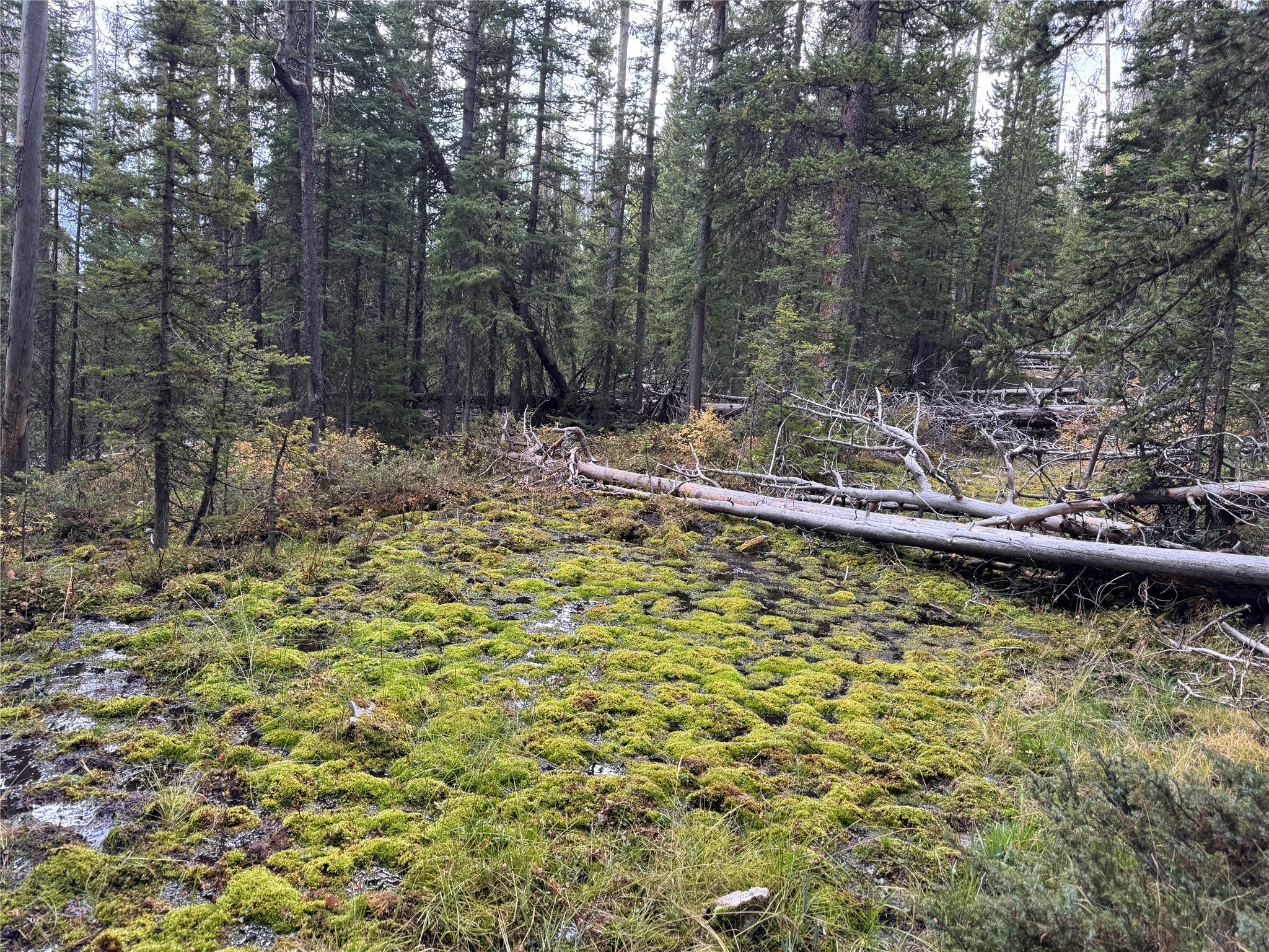 Tbd Dark Horse Mining Claim Property Photo 19