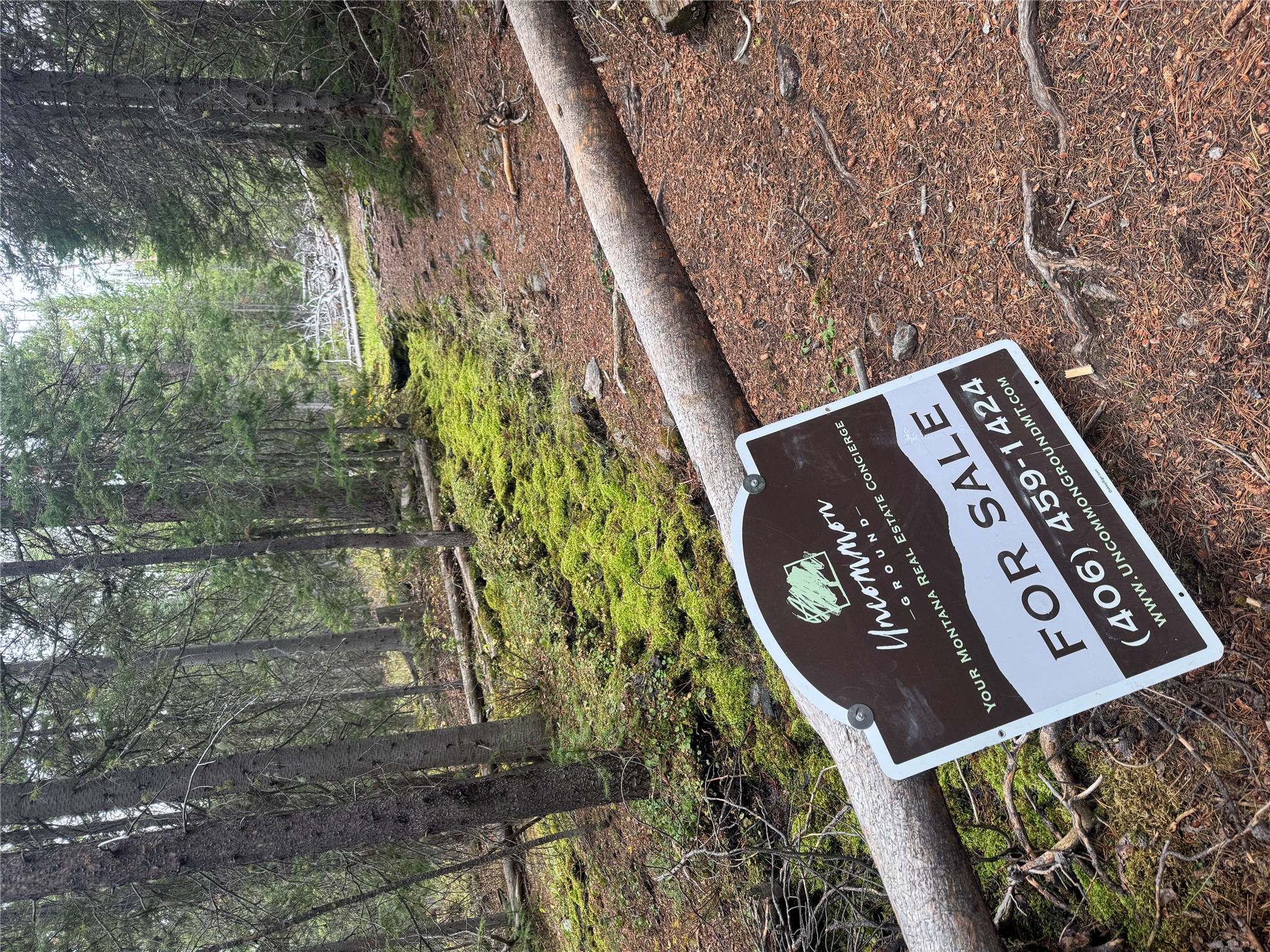 Tbd Dark Horse Mining Claim Property Photo 21