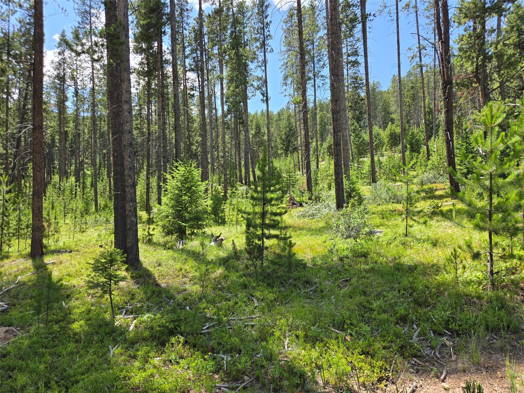 Lot 39 Shakopee Drive Property Photo