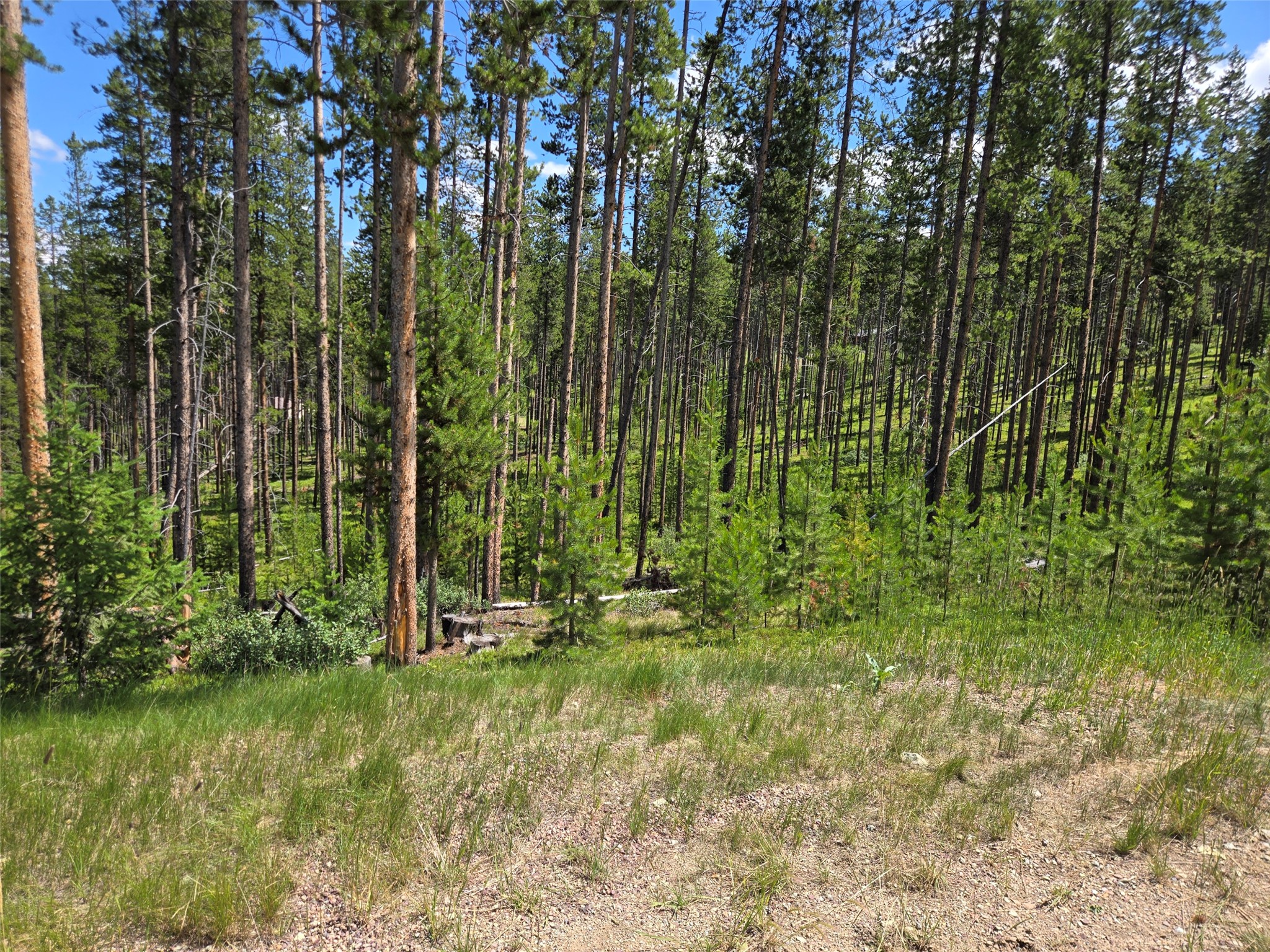 Lot 39 Shakopee Drive Property Photo 4