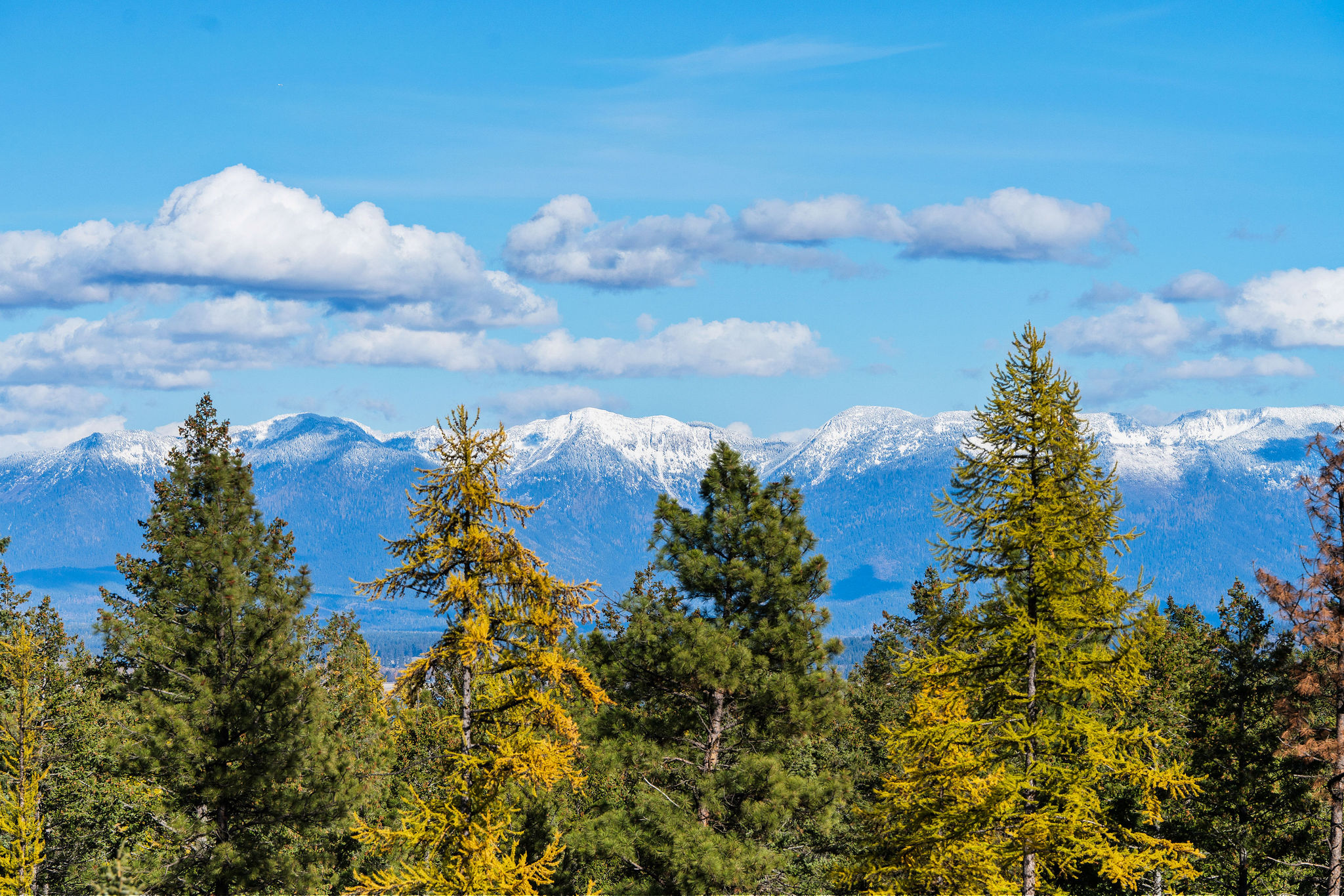 1395 Deer Creek Haven Property Photo 3