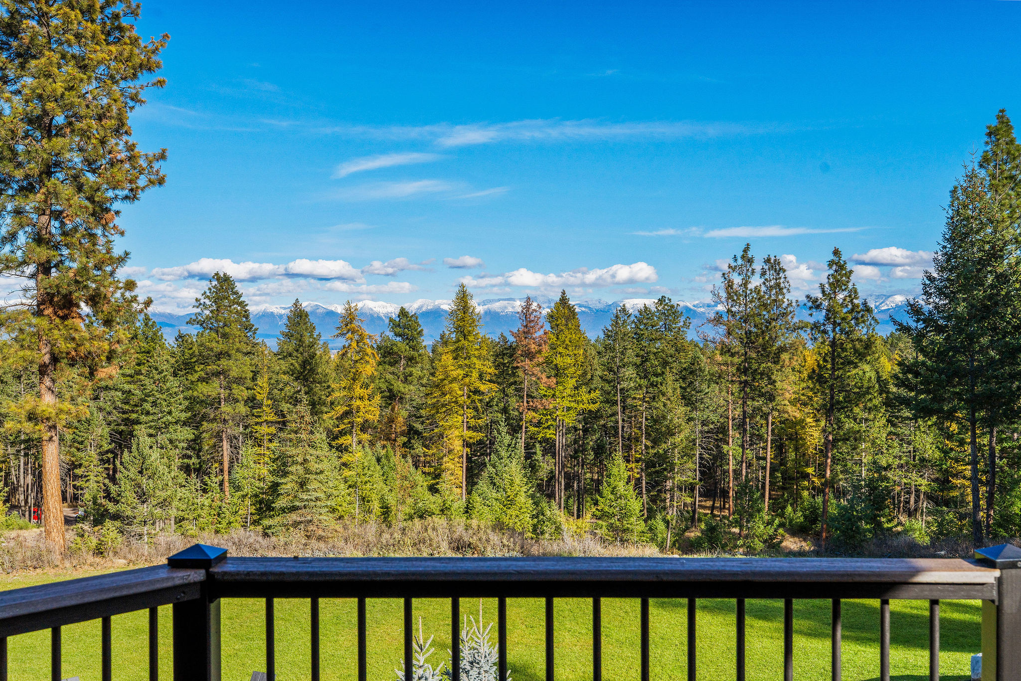 1395 Deer Creek Haven Property Photo 4