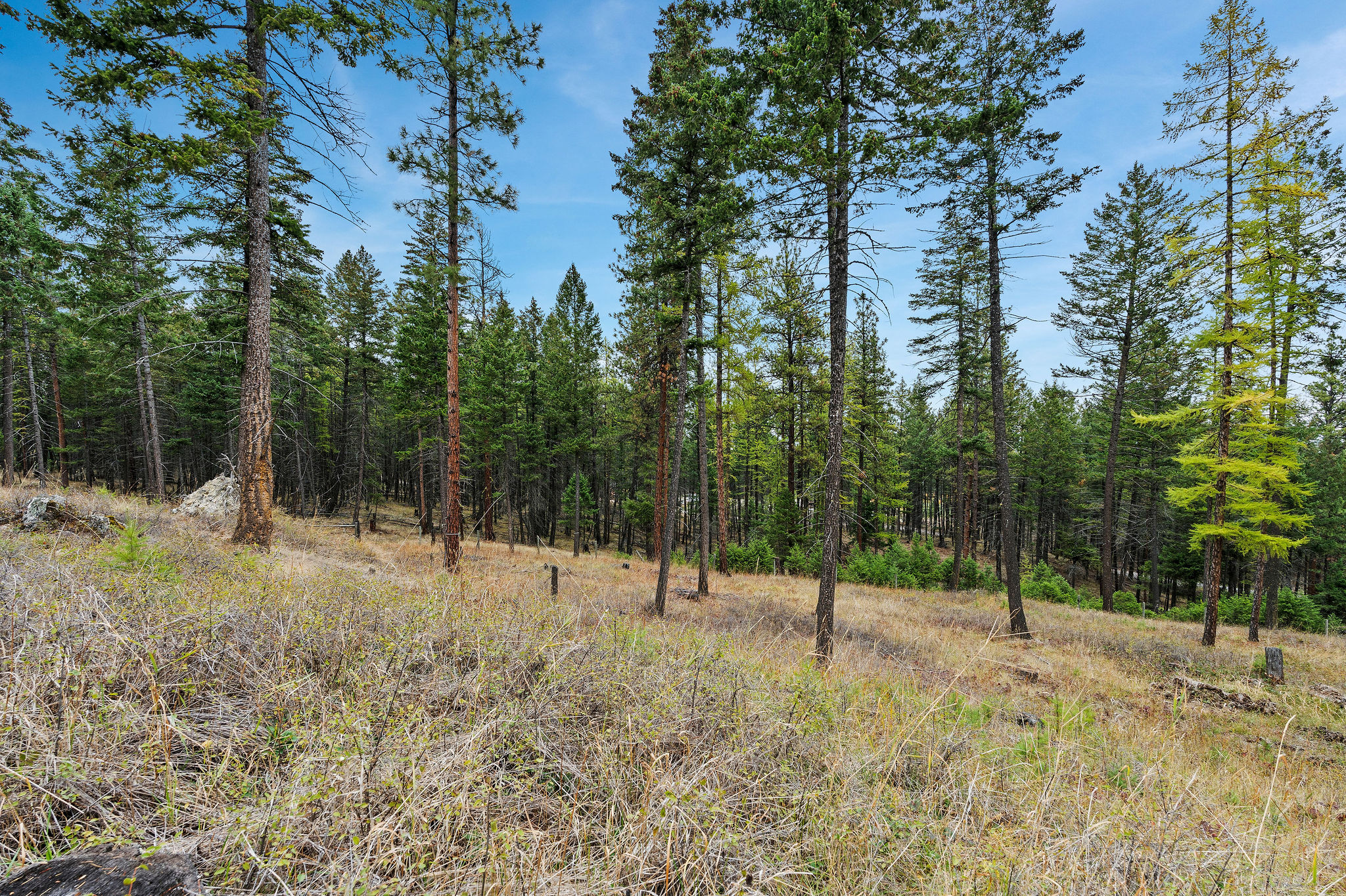 1395 Deer Creek Haven Property Photo 62