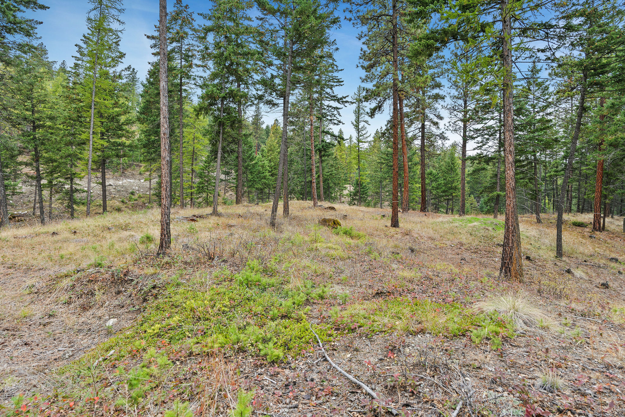 1395 Deer Creek Haven Property Photo 63