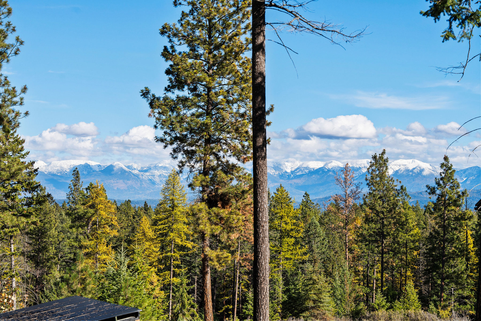 1395 Deer Creek Haven Property Photo 95