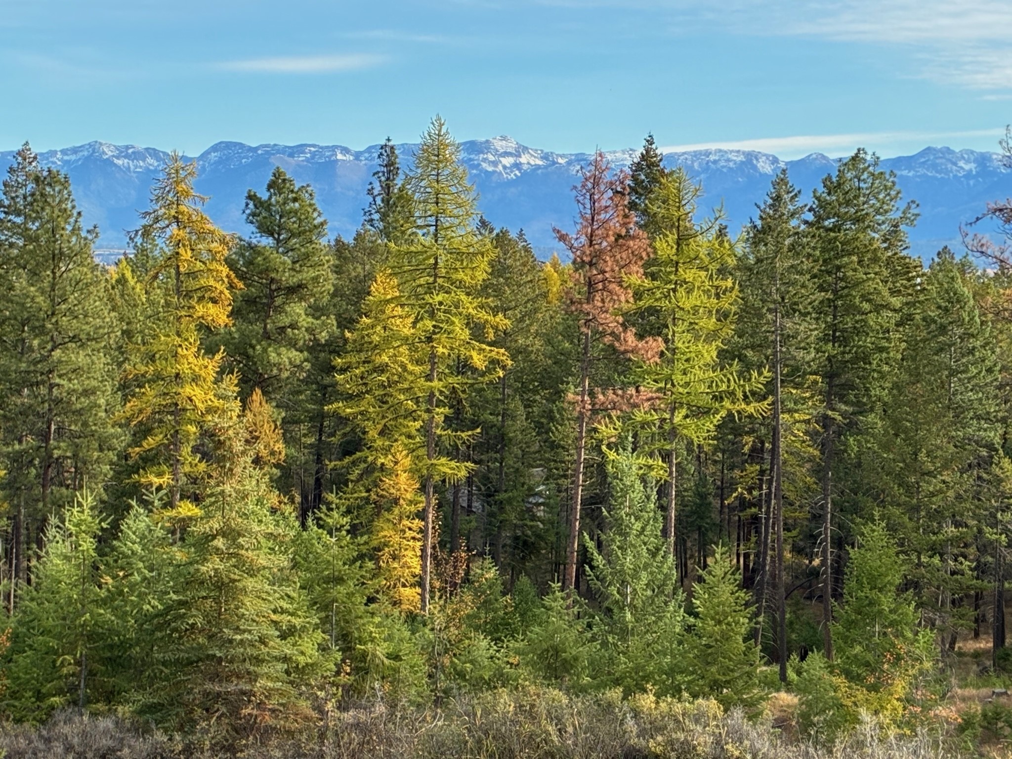 1395 Deer Creek Haven Property Photo 96