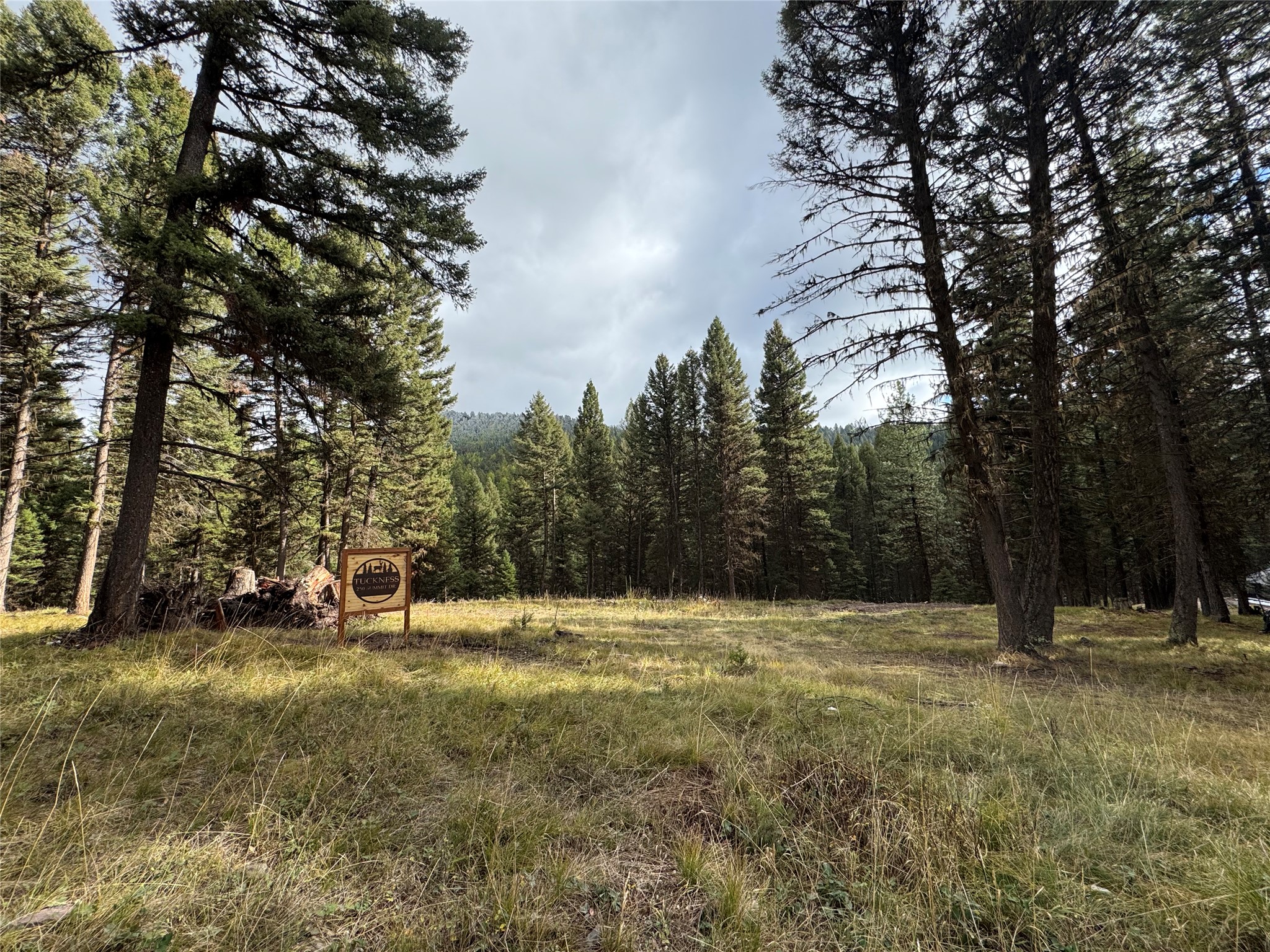 250 Summit Drive Property Photo 8
