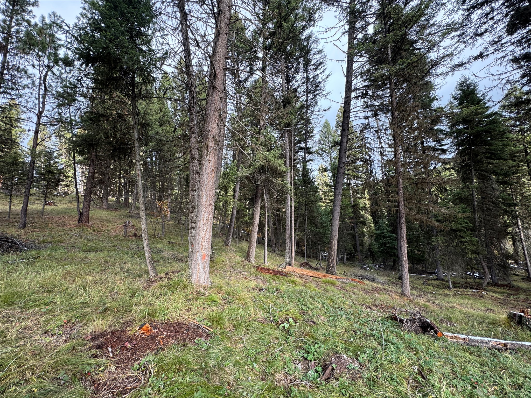 250 Summit Drive Property Photo 13